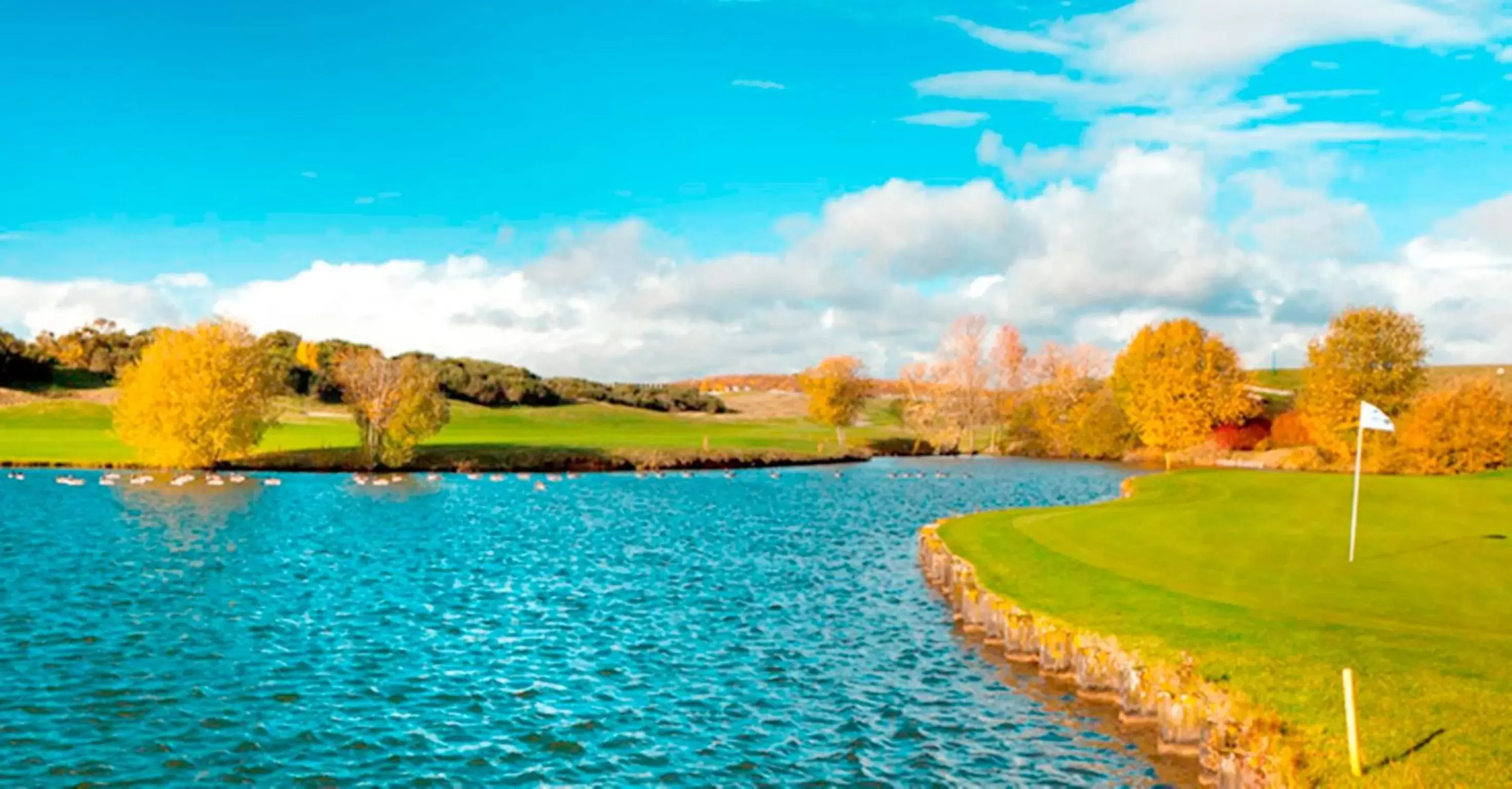 Golfcourse in Novotel Saint-Quentin en Yvelines