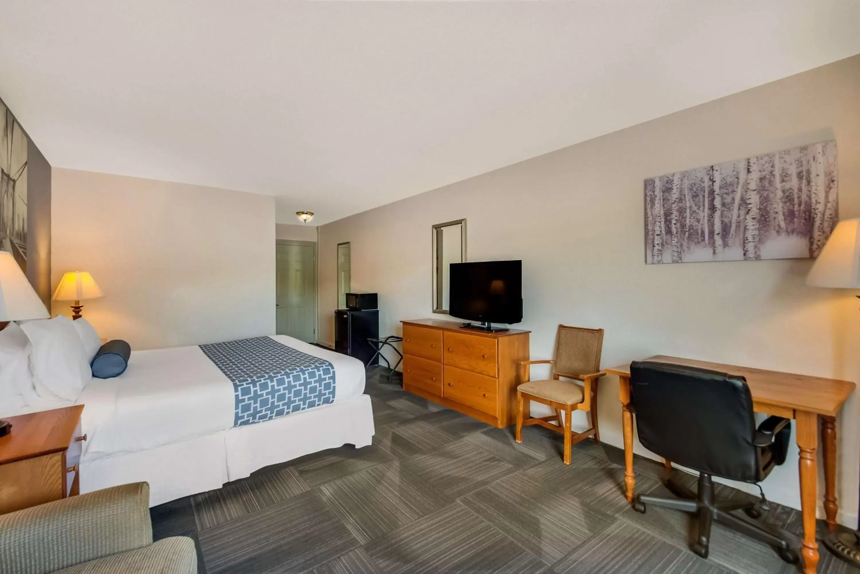 Bedroom, TV/Entertainment Center in SureStay Plus Hotel by Best Western Berkeley Springs