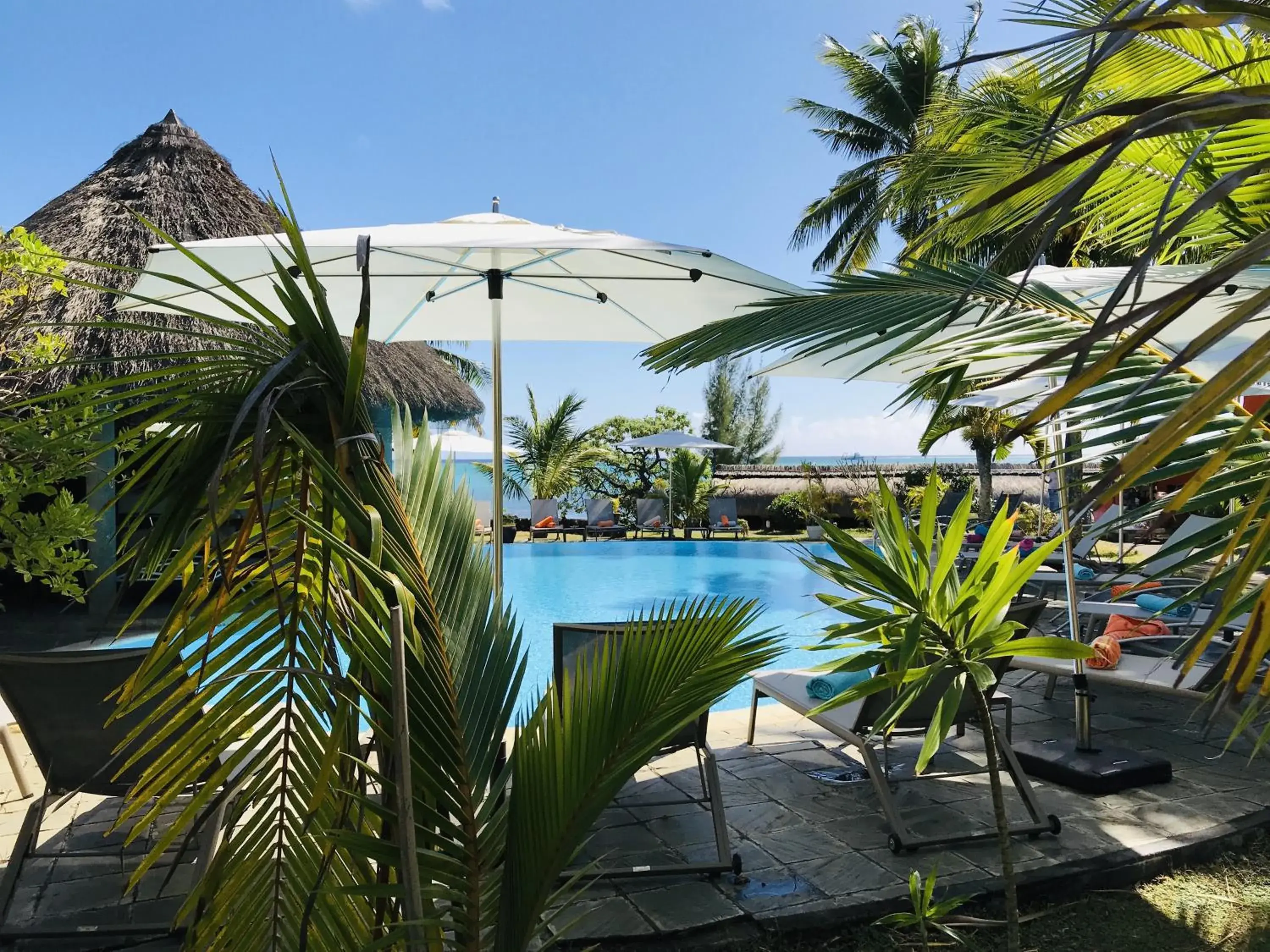 Garden, Swimming Pool in Flowers of Paradise