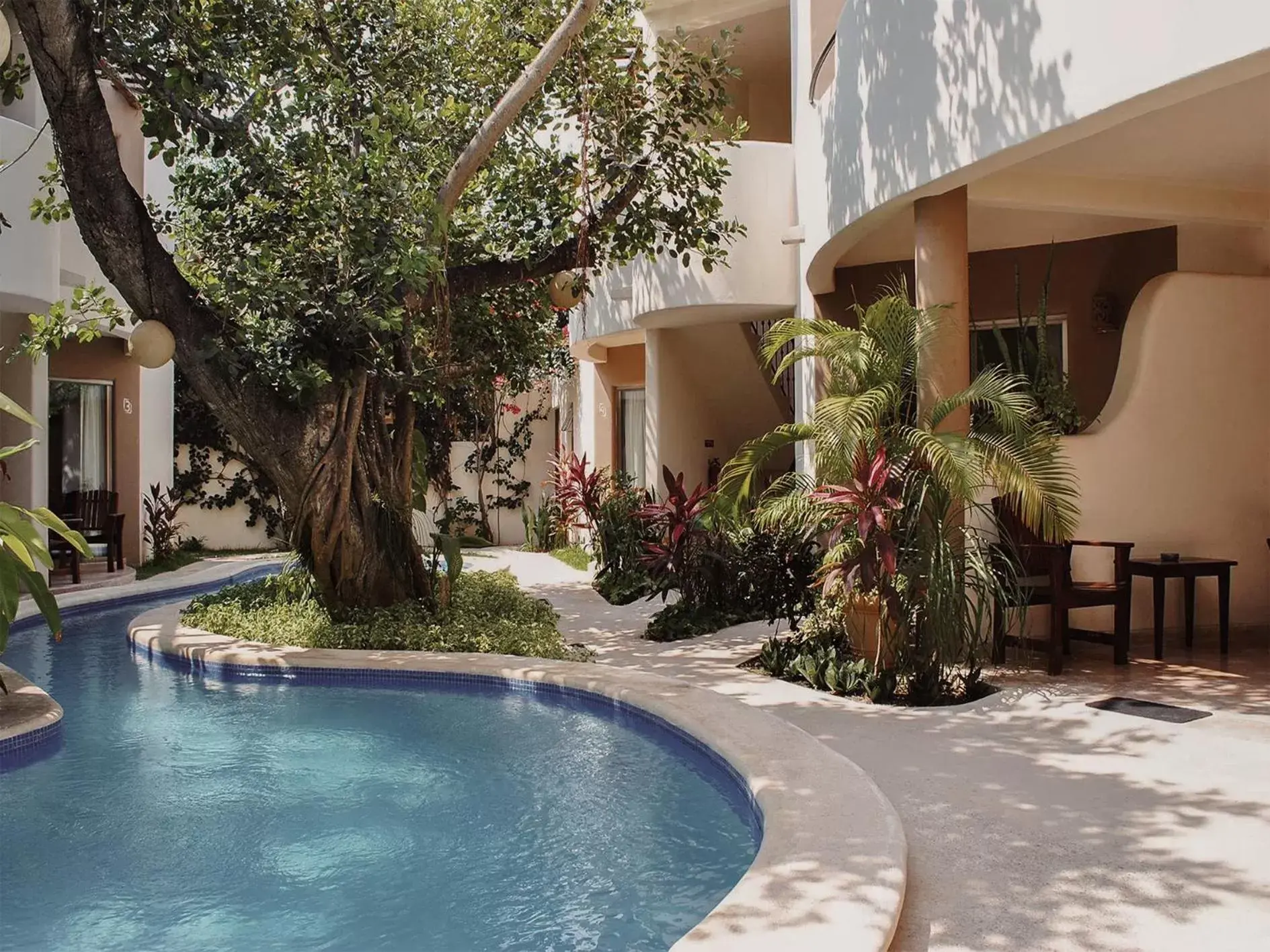 Swimming Pool in Hotel Posada 06 Tulum