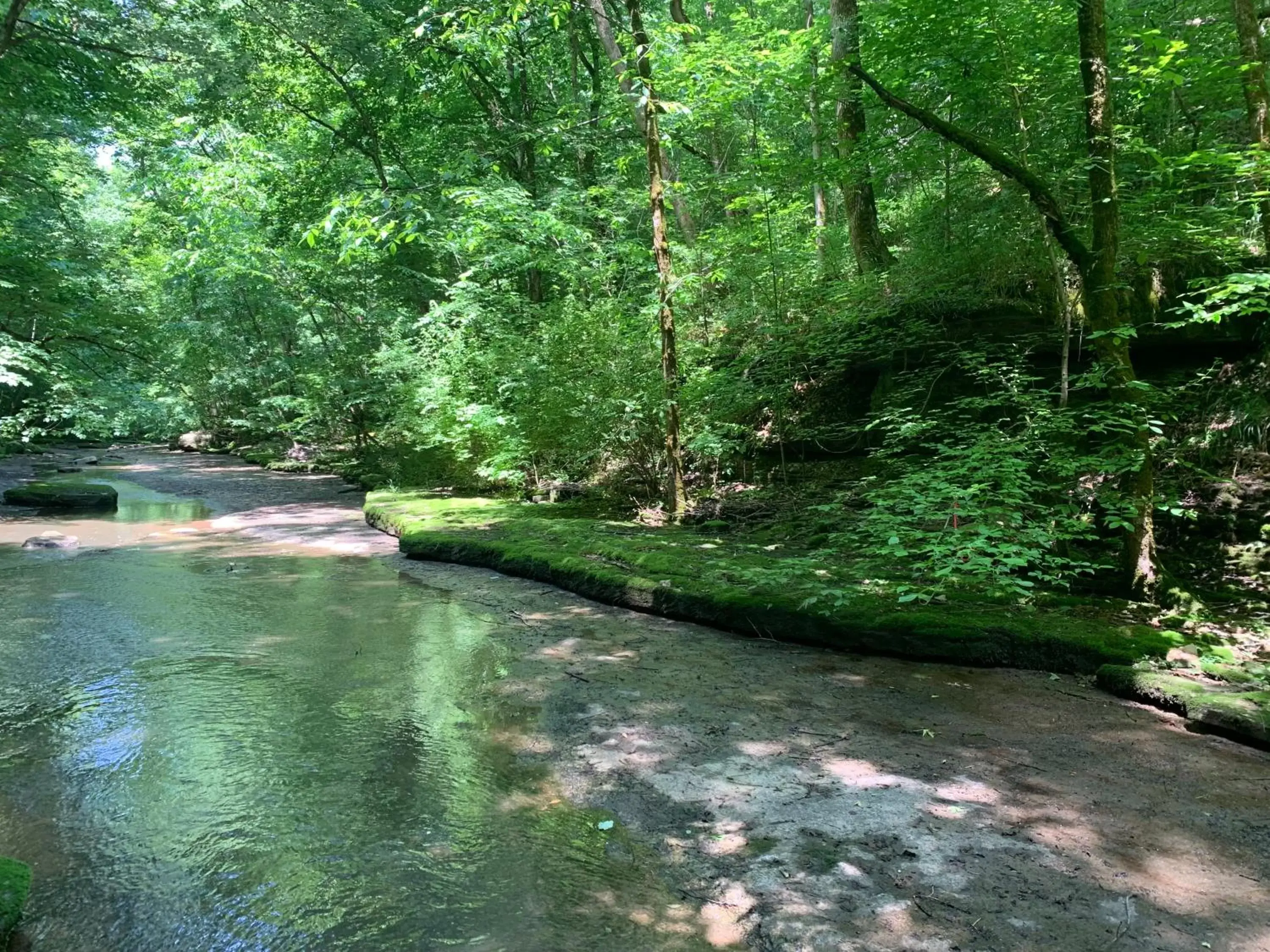 Natural Landscape in Shaker Village of Pleasant Hill