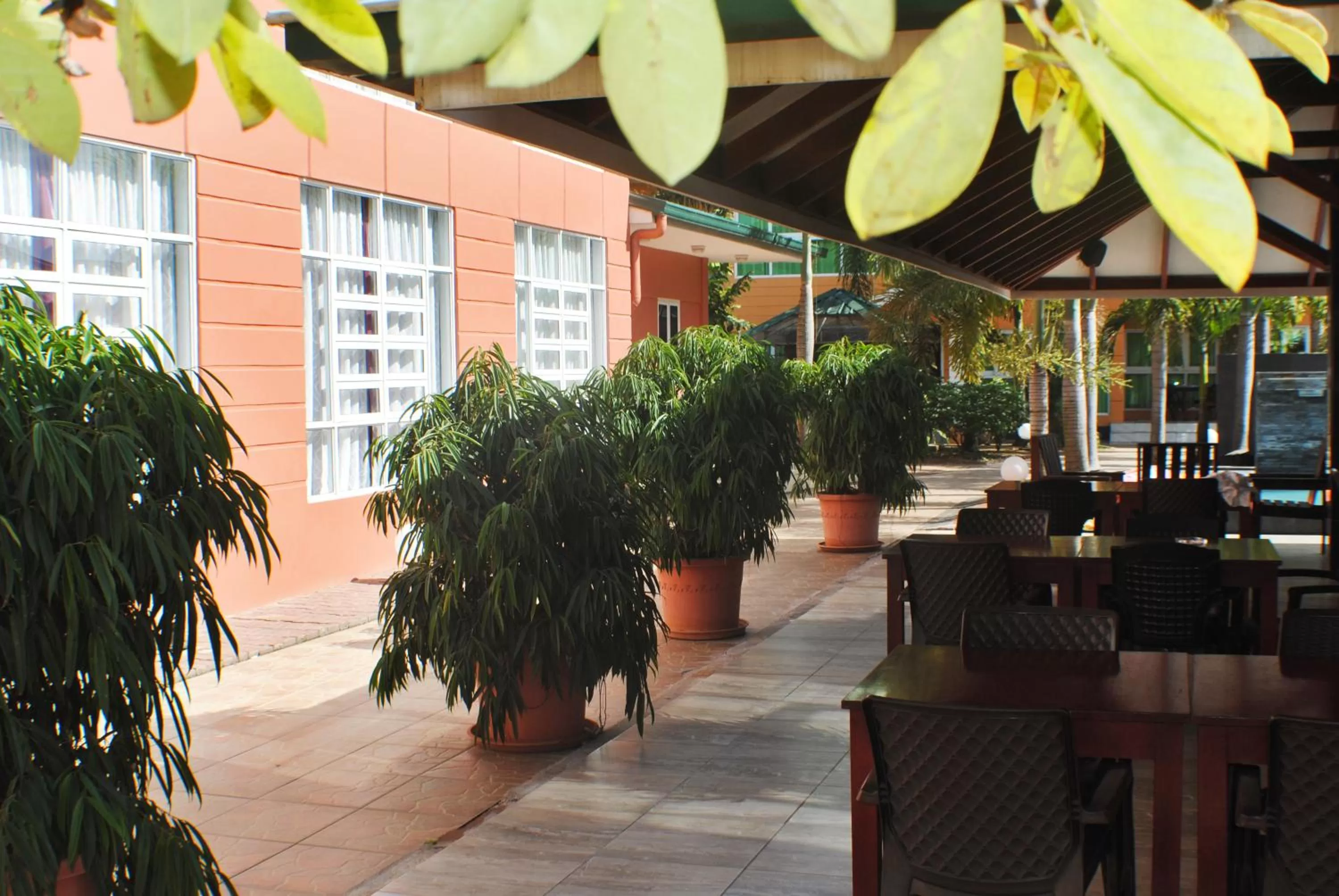 Restaurant/Places to Eat in Joah Inn Appartementen