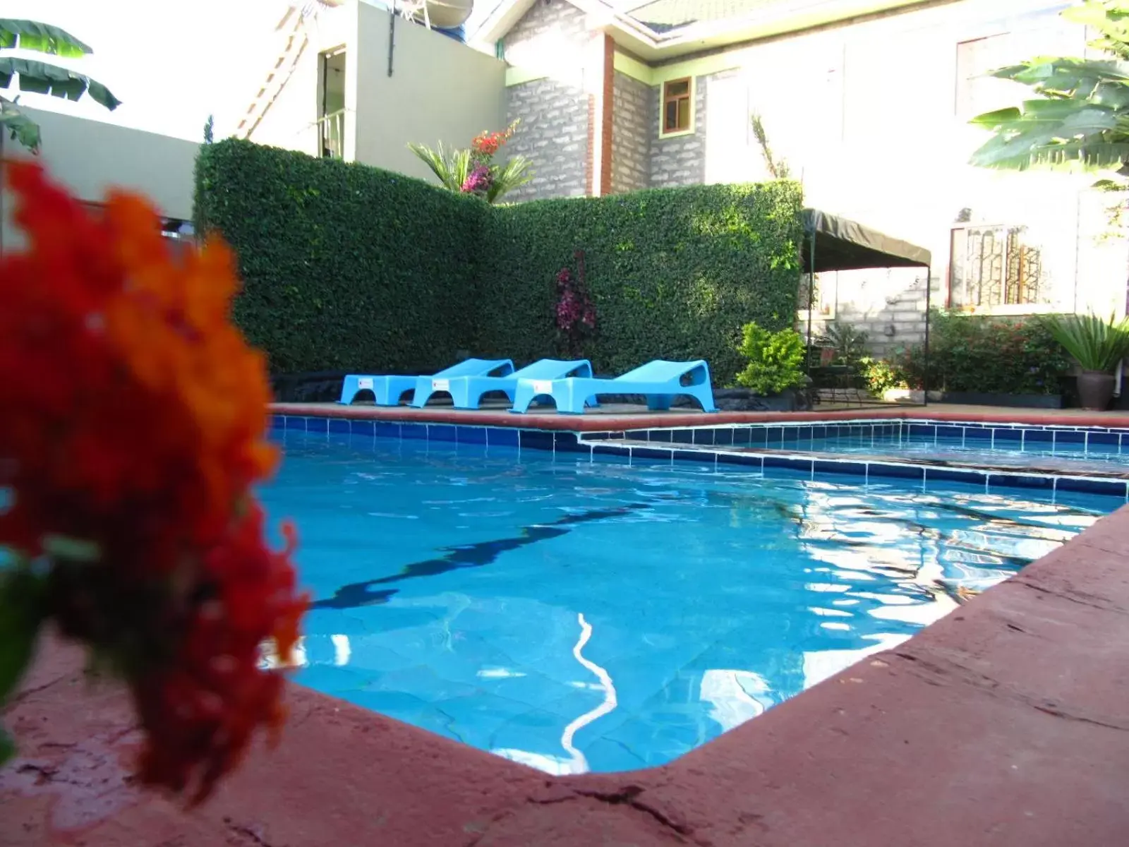 Swimming Pool in Korona Villa Lodge