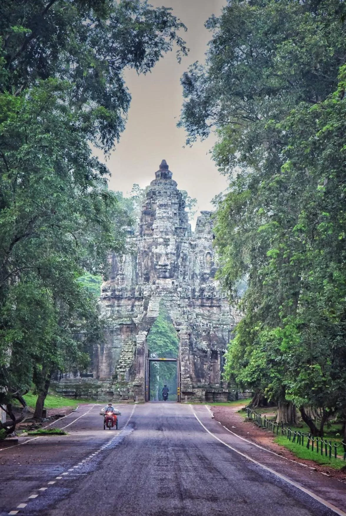 Natural landscape in Homewood Hotel
