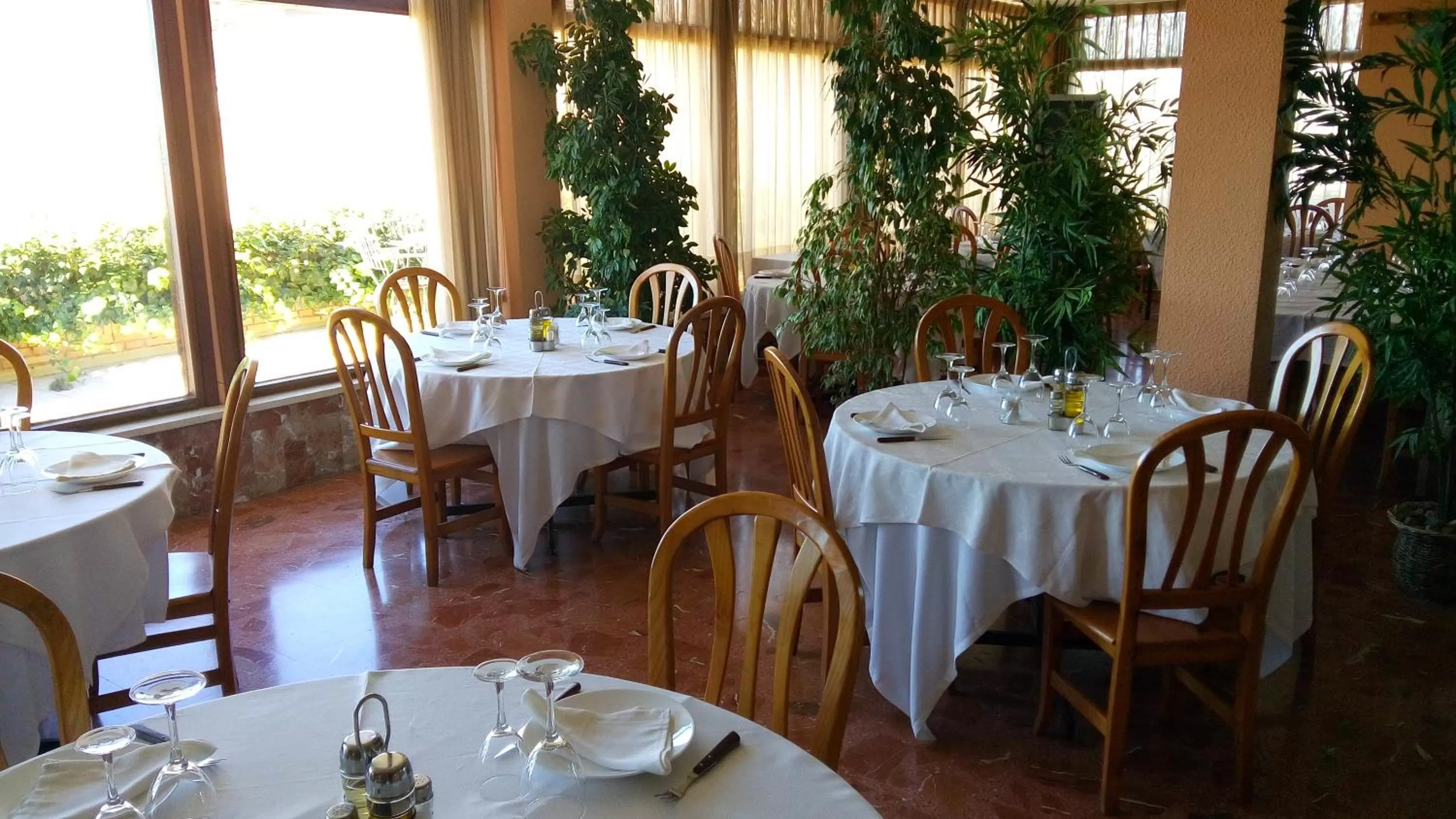 Other in Hotel-Motel Sol II