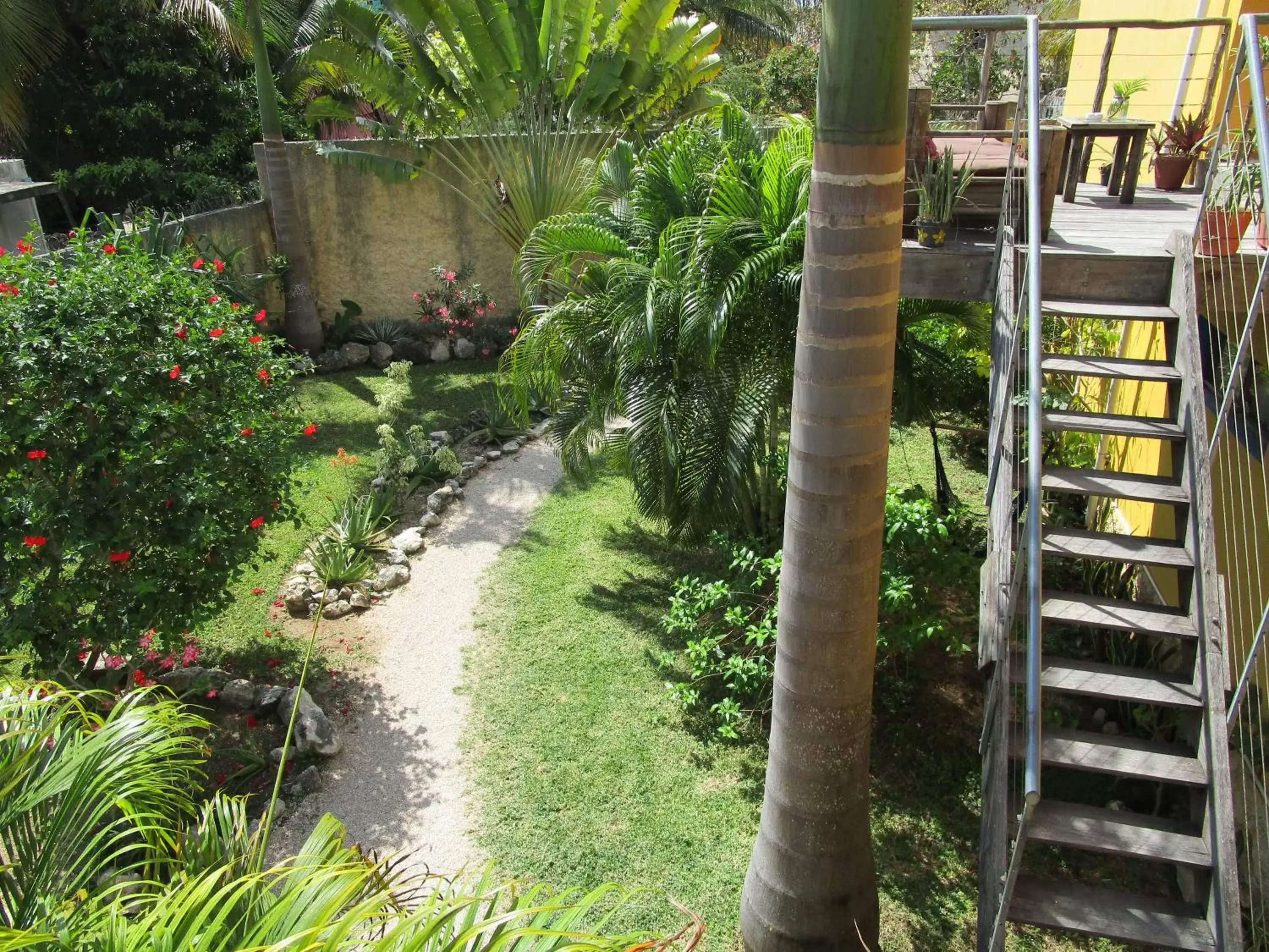 Garden in Casa Abanico Tulum