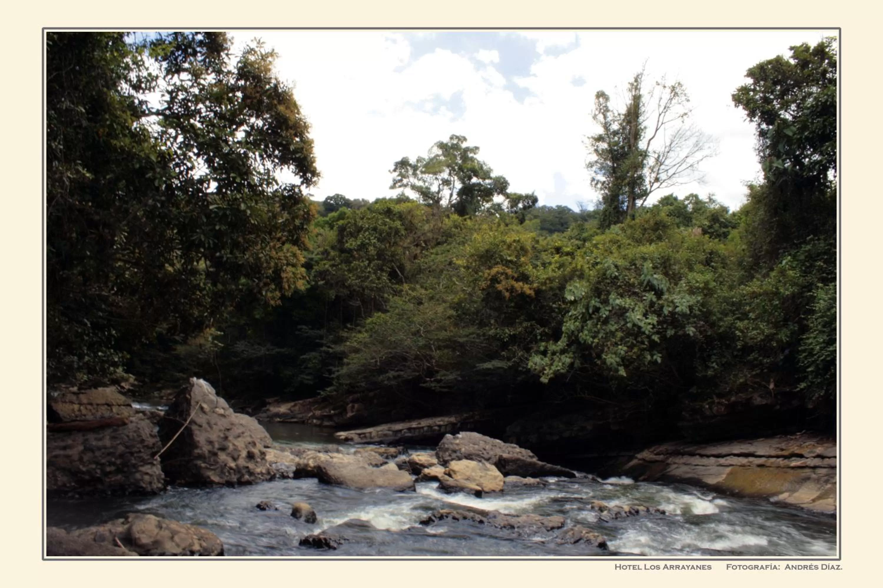 Natural landscape in Hotel Campestre Los Arrayanes