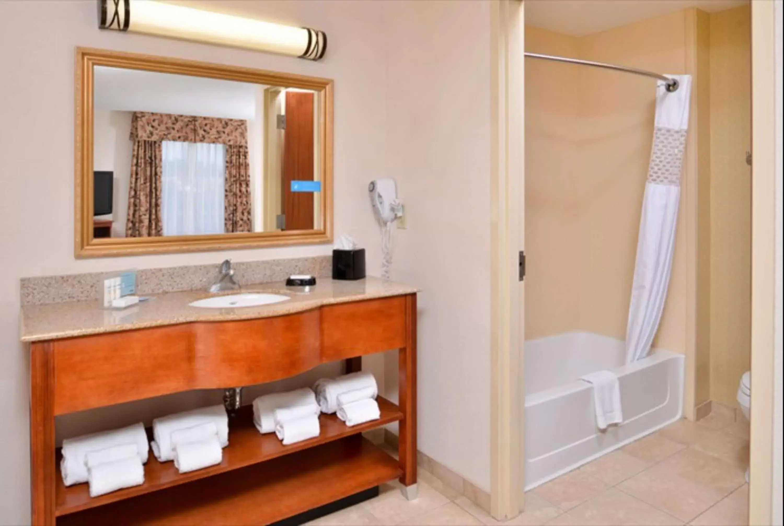 Bathroom in Hampton Inn & Suites Richmond