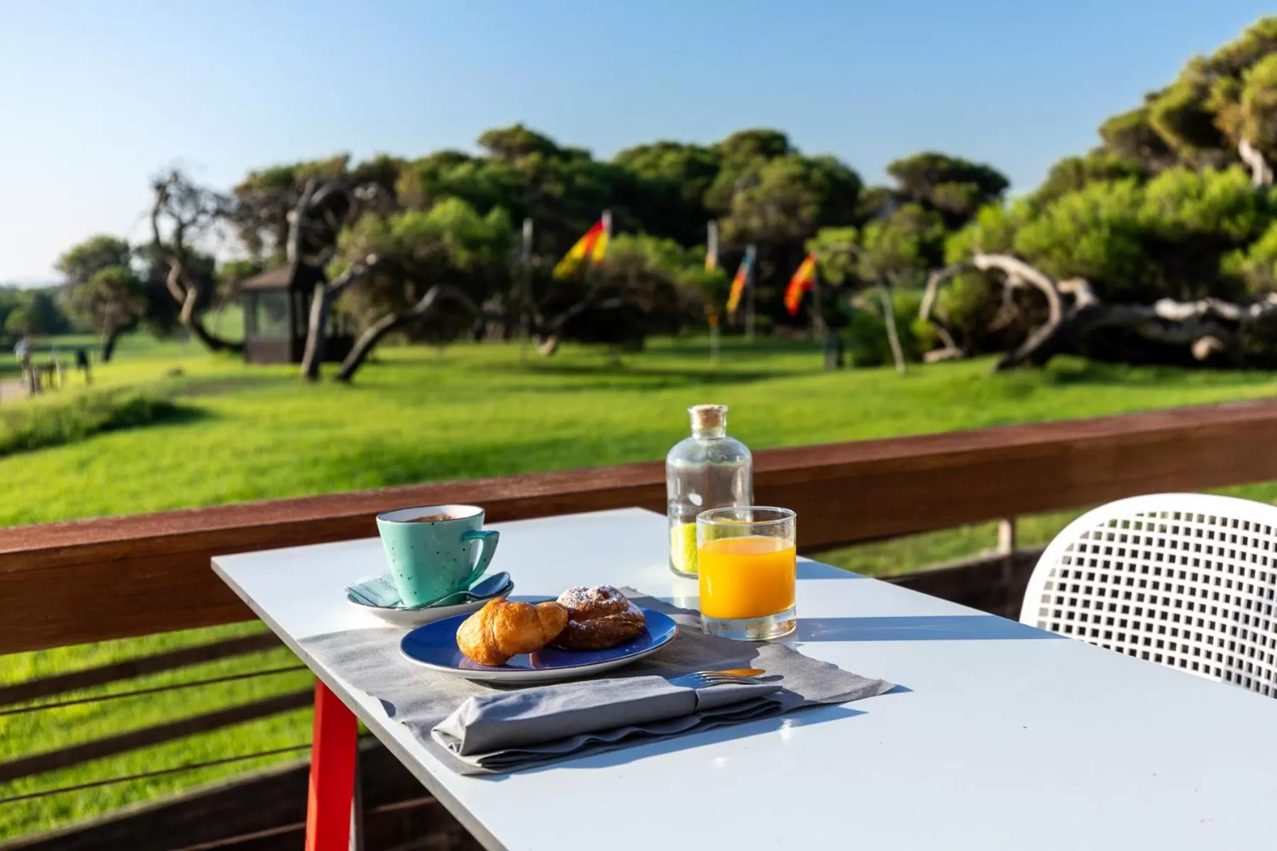 Garden in Parador de El Saler