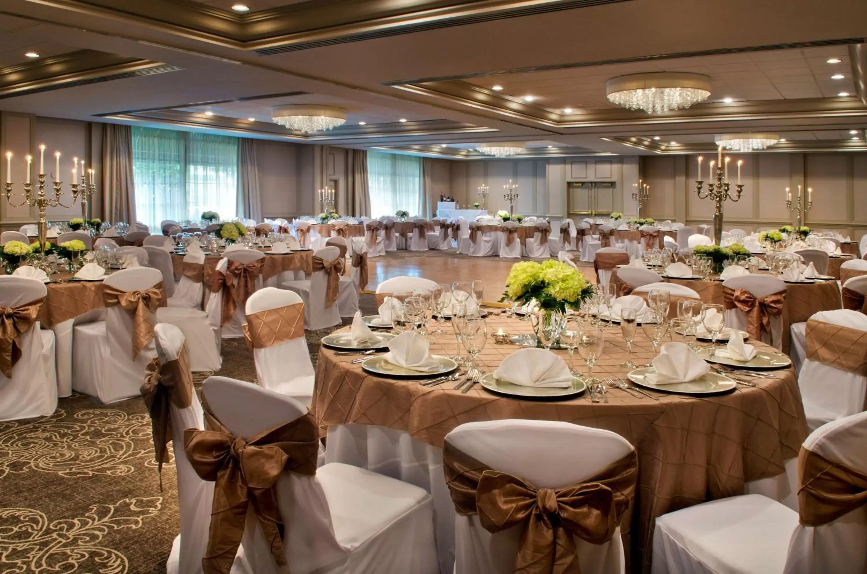 Meeting/conference room, Banquet Facilities in Hilton Greenville