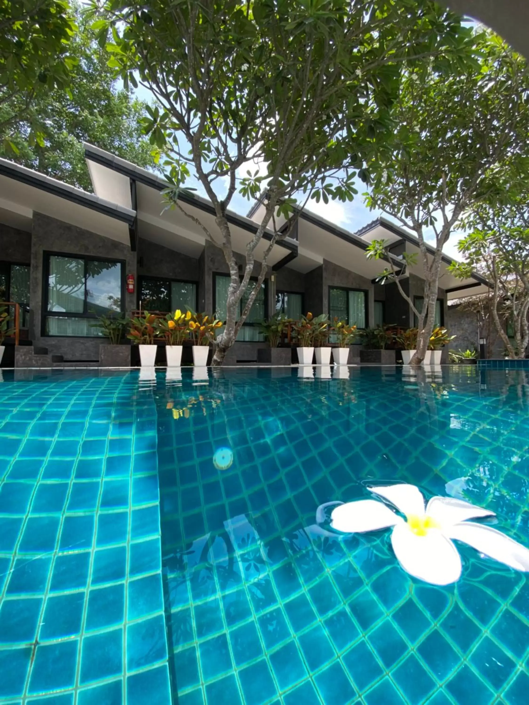 Swimming Pool in Family House Zen Boutique Resort