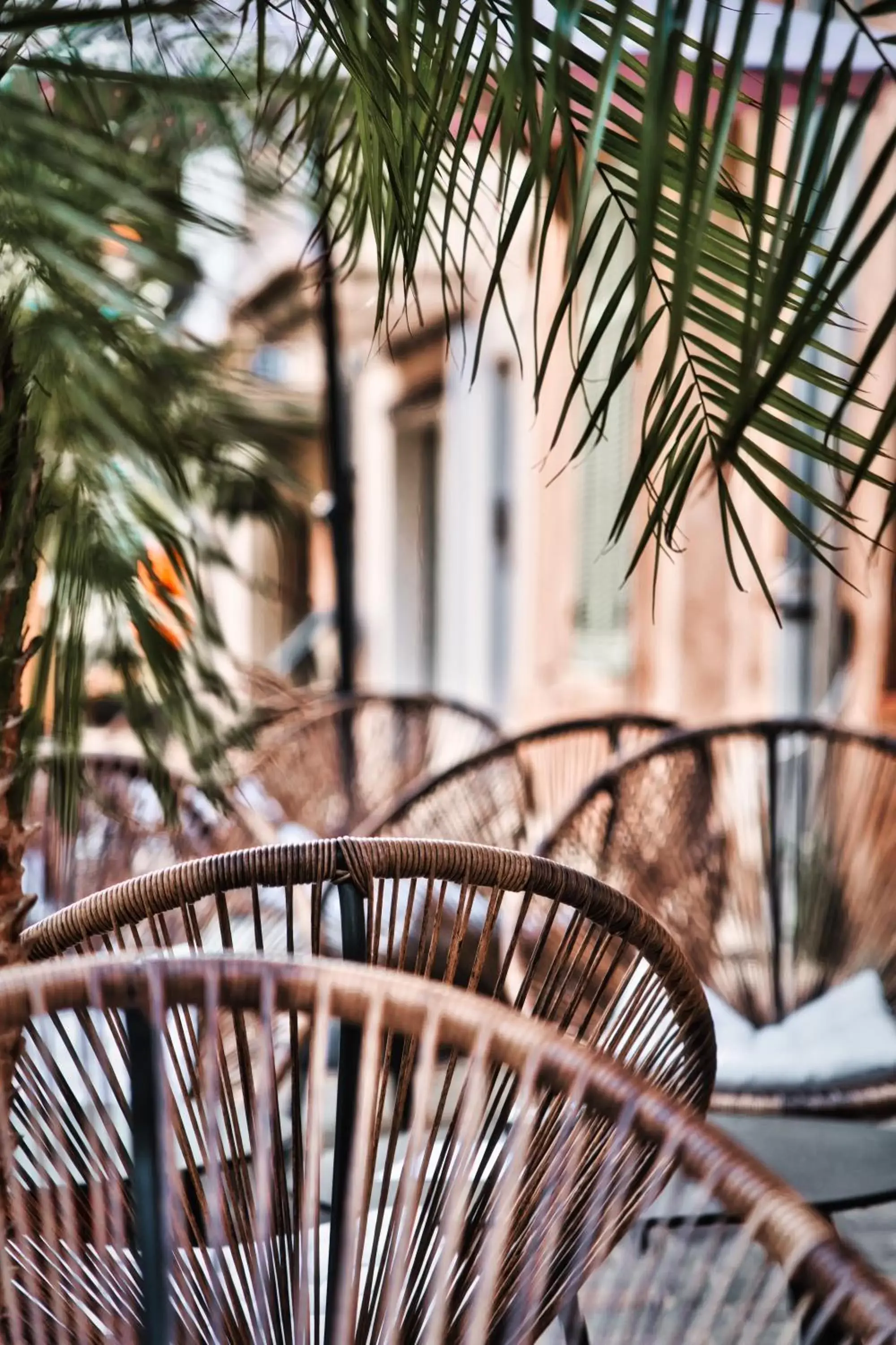 Patio in Hotel Les Palmiers