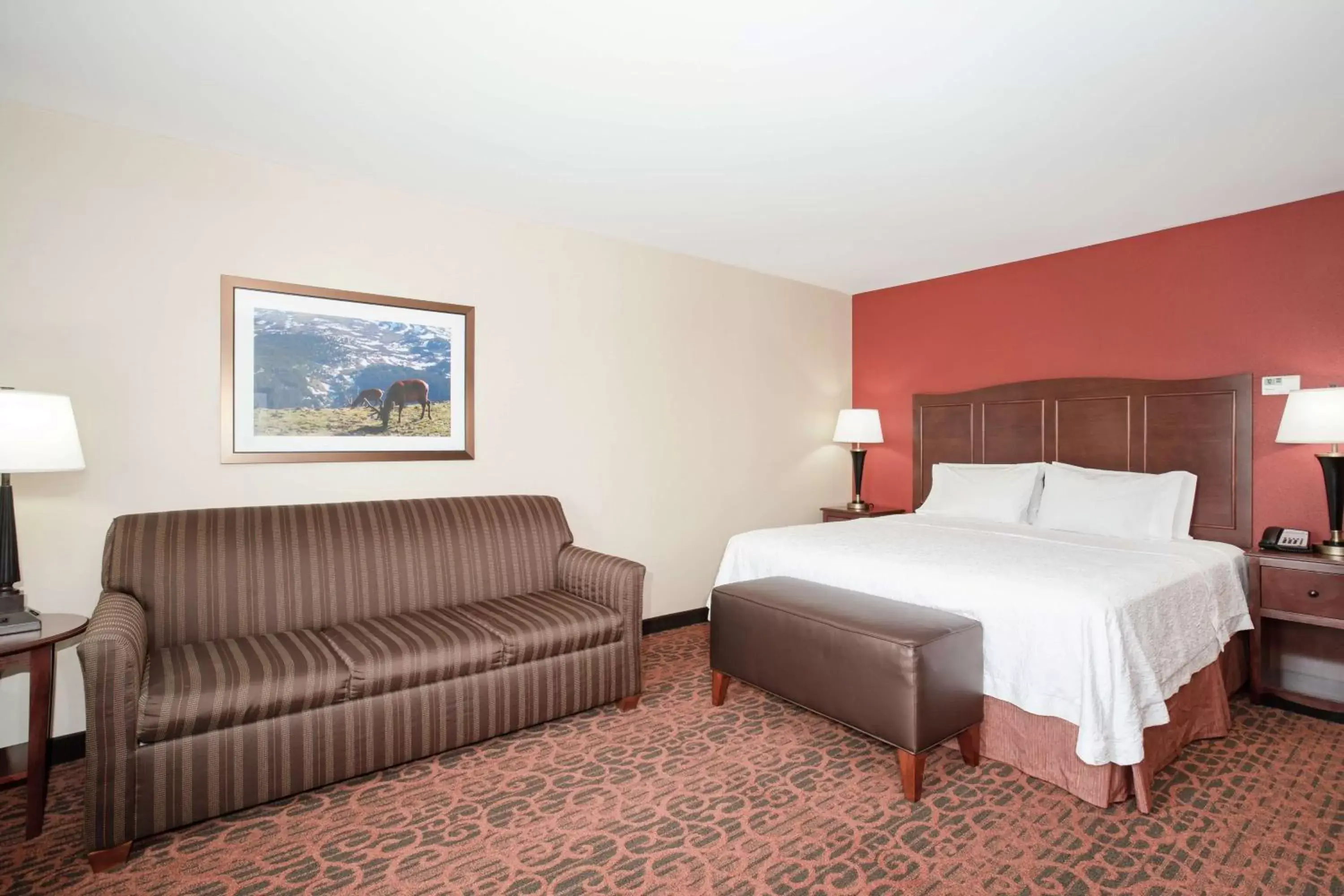 Living room, Bed in Hampton Inn and Suites Denver/South-RidgeGate