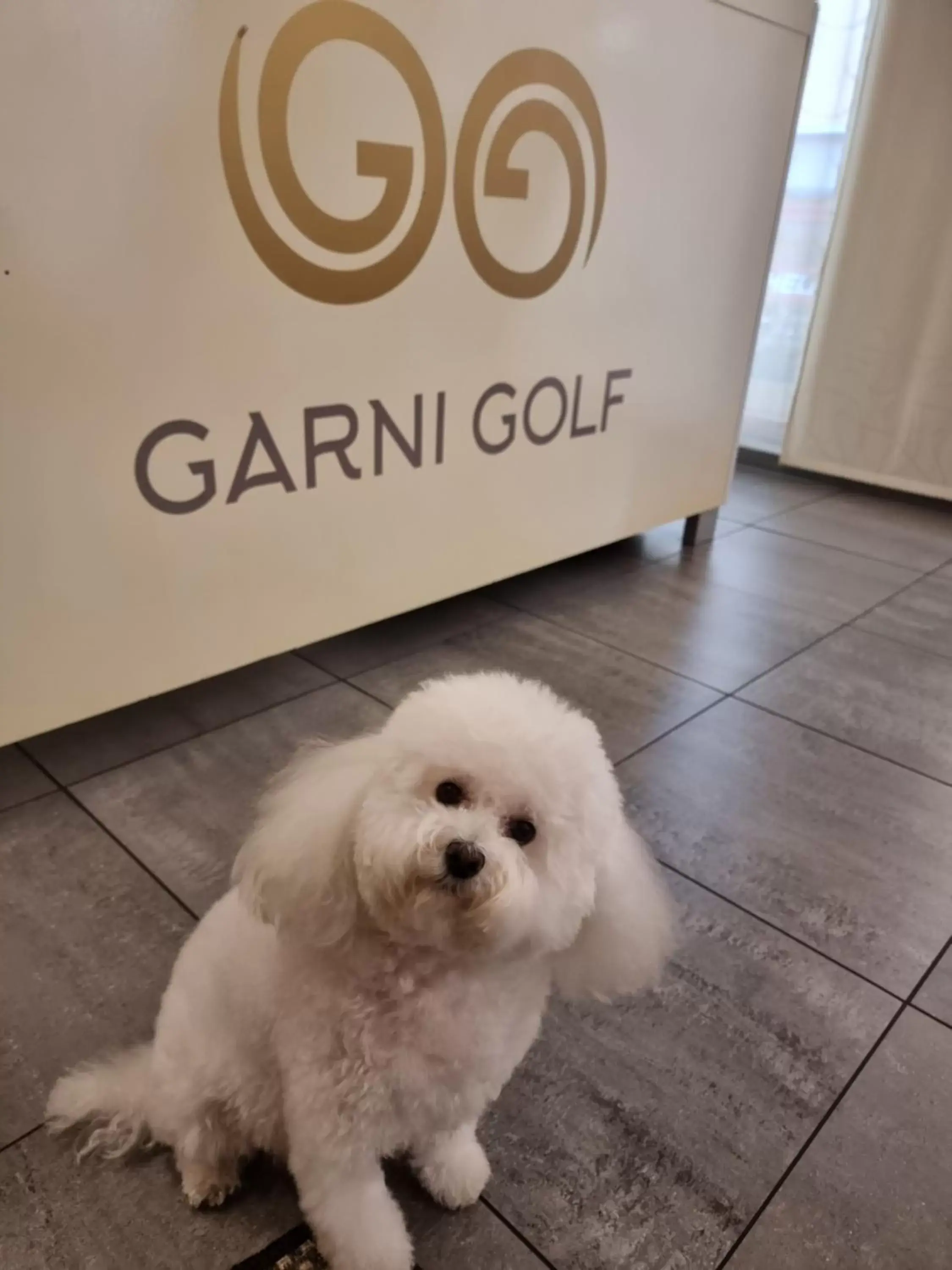 Animals, Pets in Hotel Garni Golf