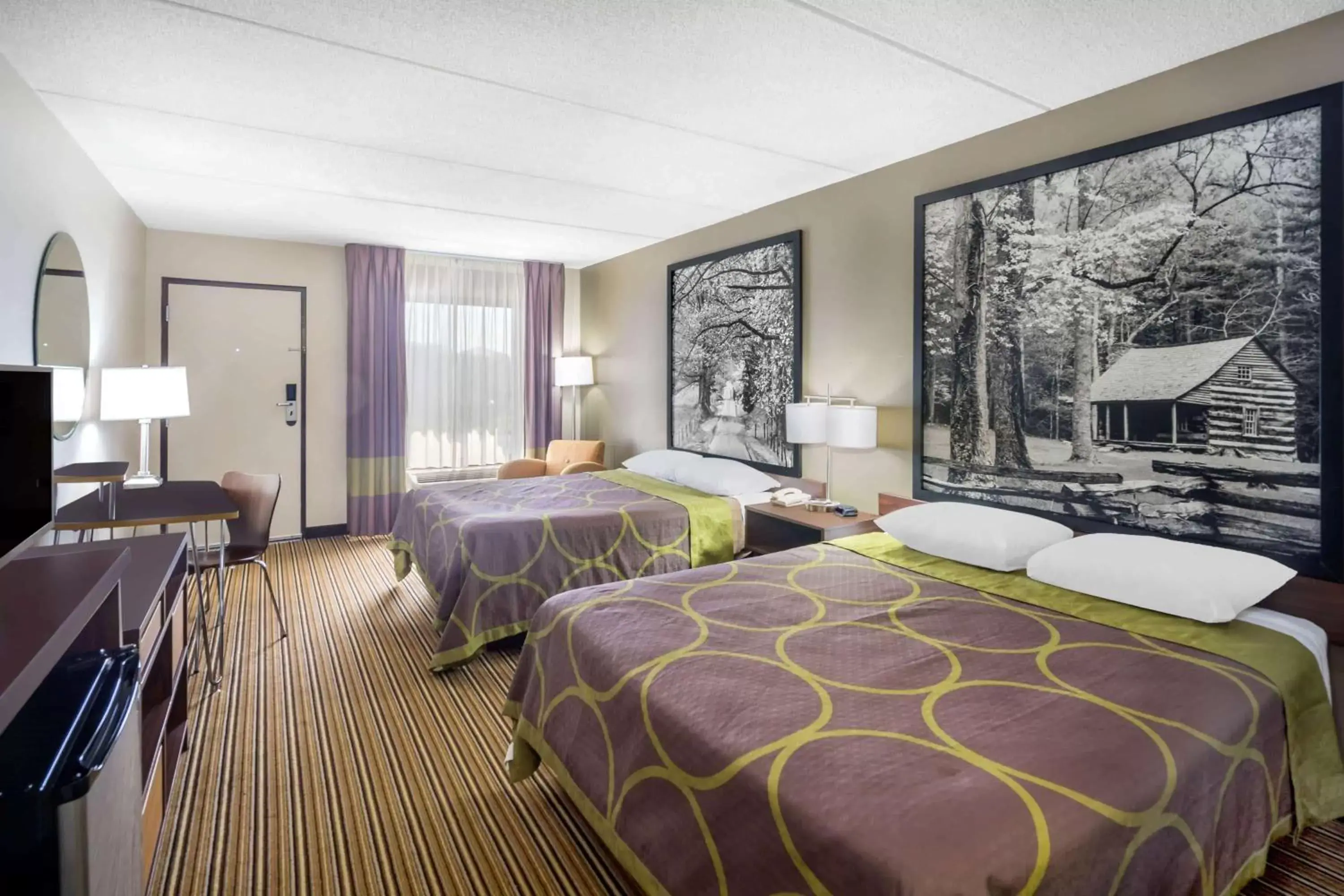 Photo of the whole room, Bed in Super 8 by Wyndham Knoxville North/Powell