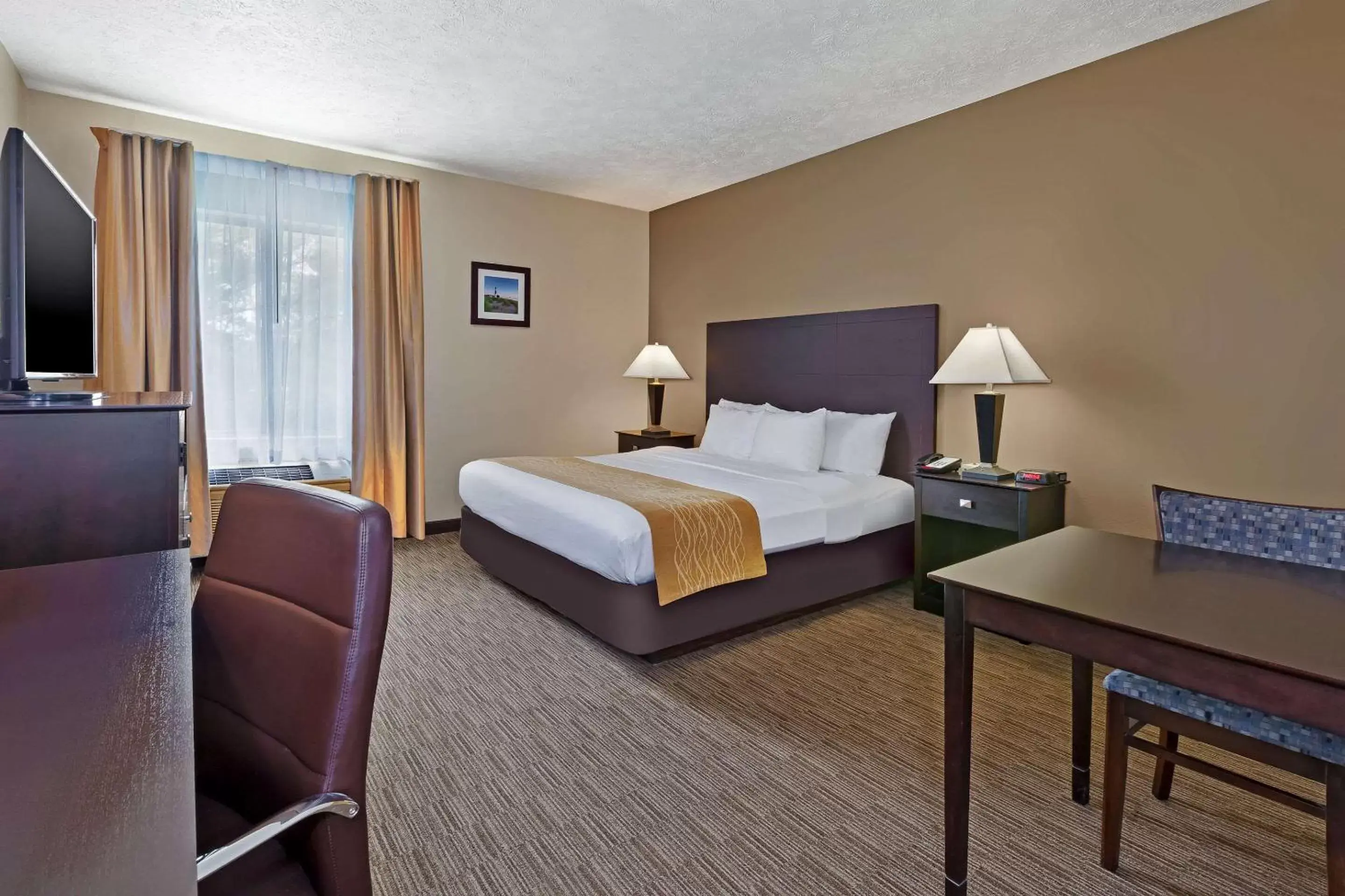 Photo of the whole room in Comfort Inn Whitehall near Michigan's Adventure