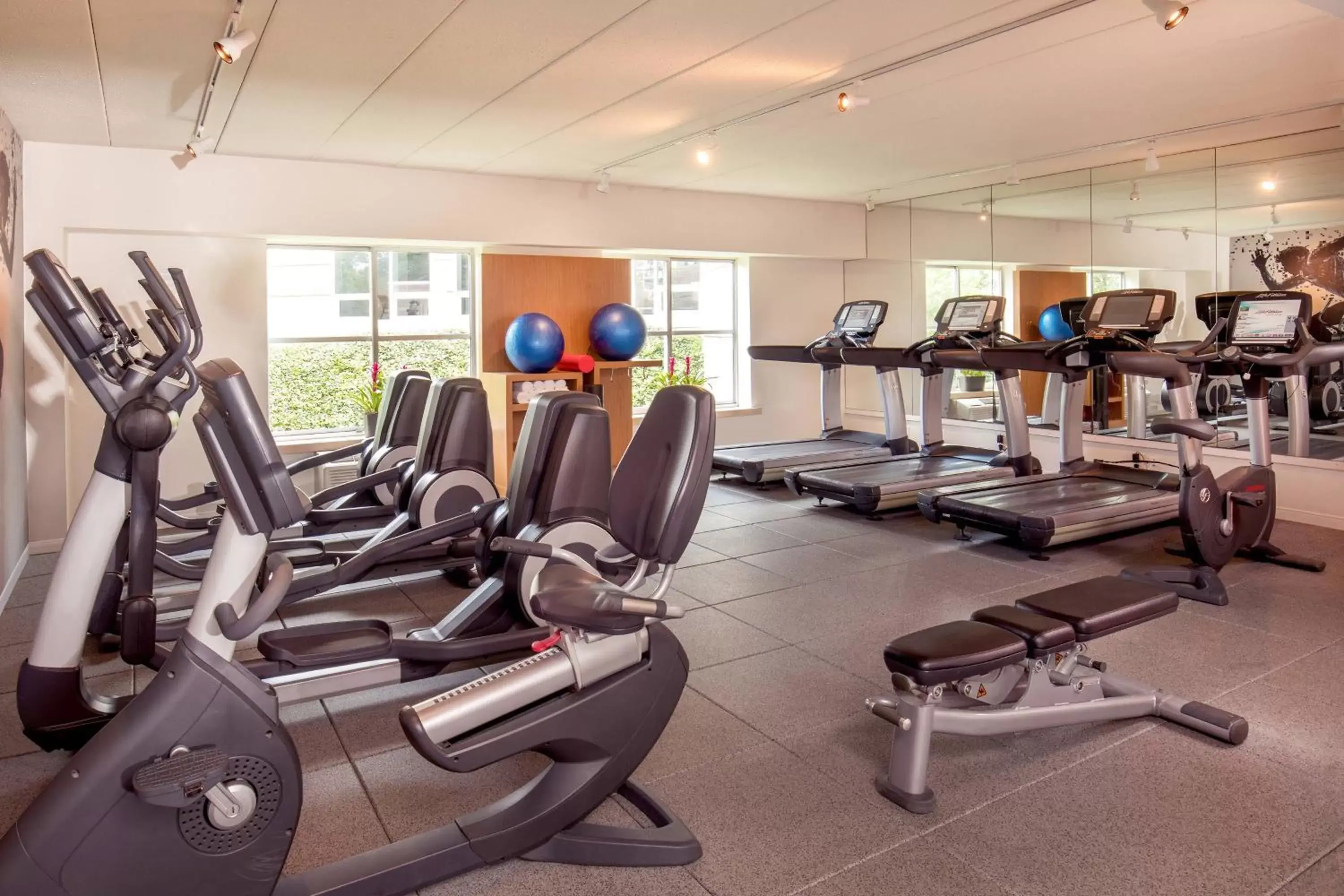 Fitness centre/facilities, Fitness Center/Facilities in Sheraton Boston Needham Hotel