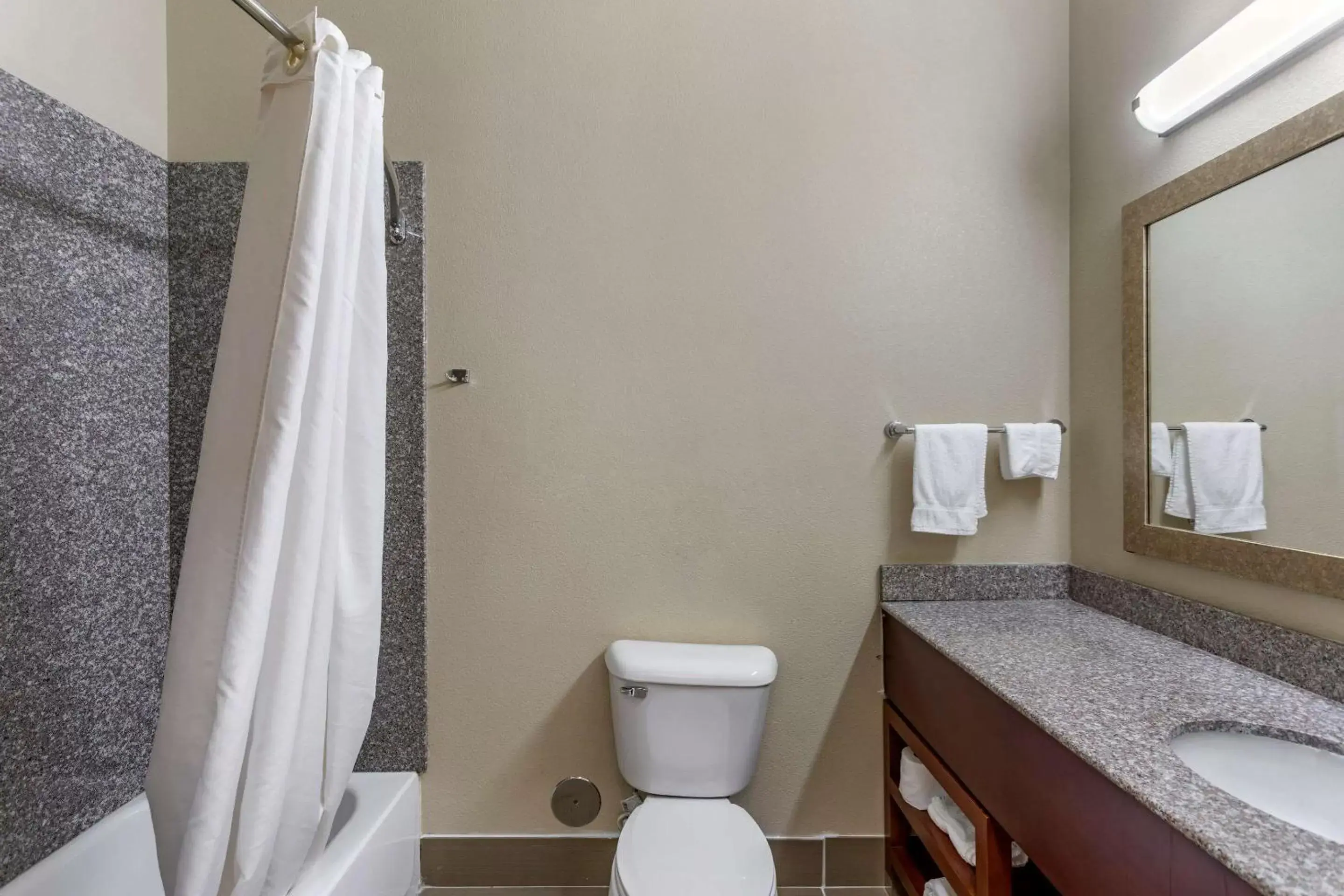 Bathroom in Comfort Inn & Suites Carbondale University Area