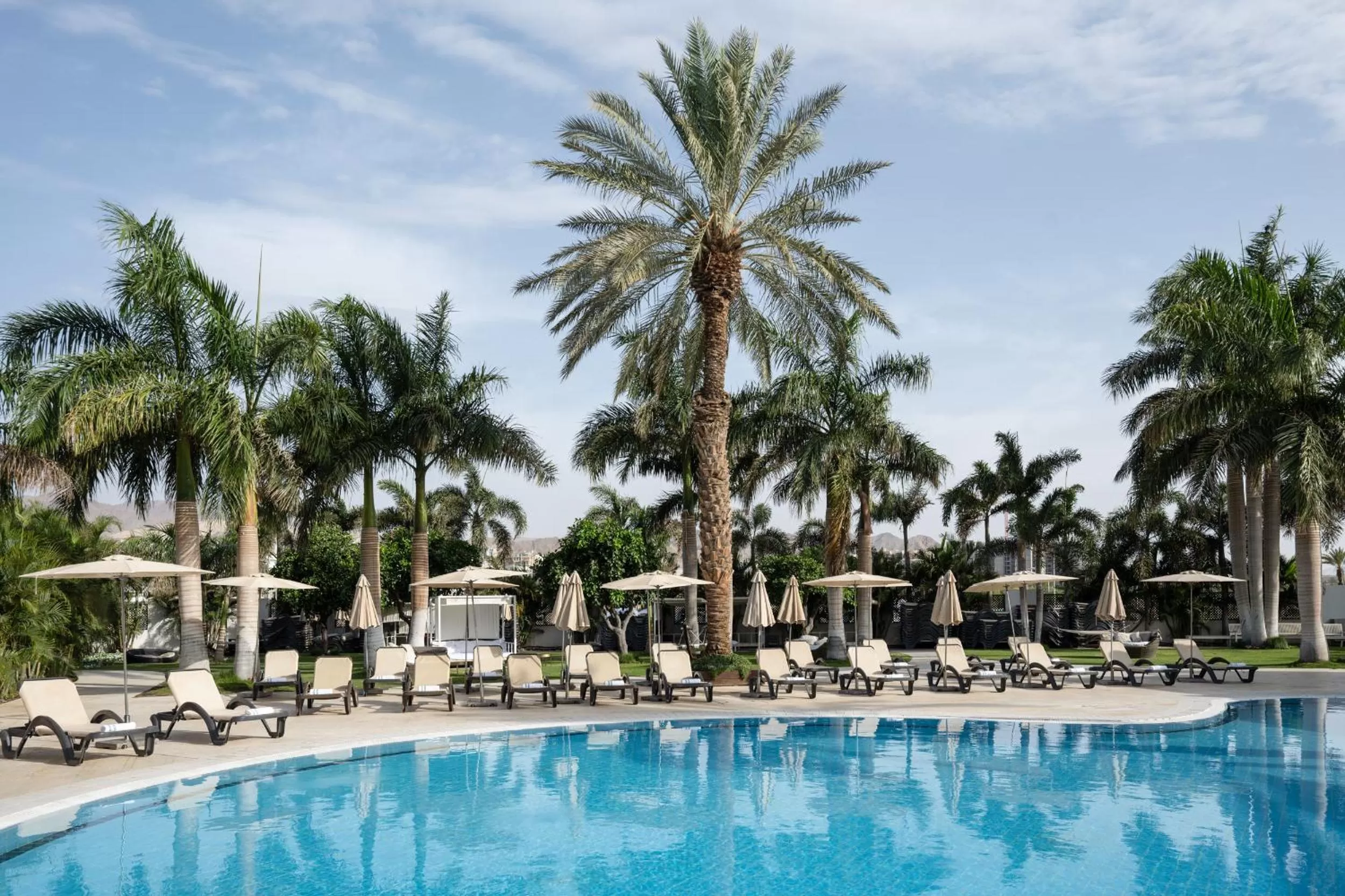 Swimming pool in Dan Panorama Eilat