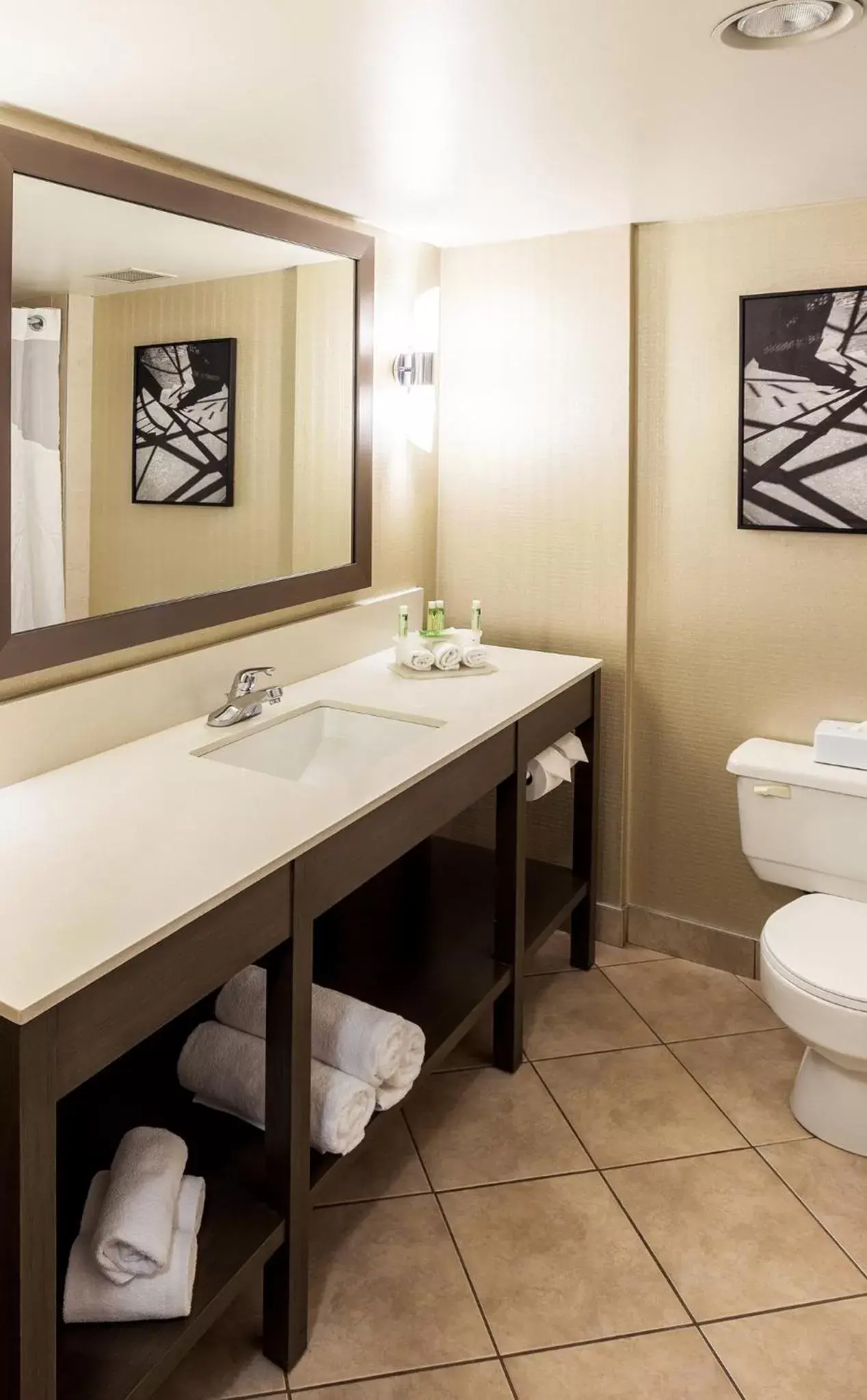 Bathroom in Holiday Inn Express Vancouver-Metrotown (Burnaby)