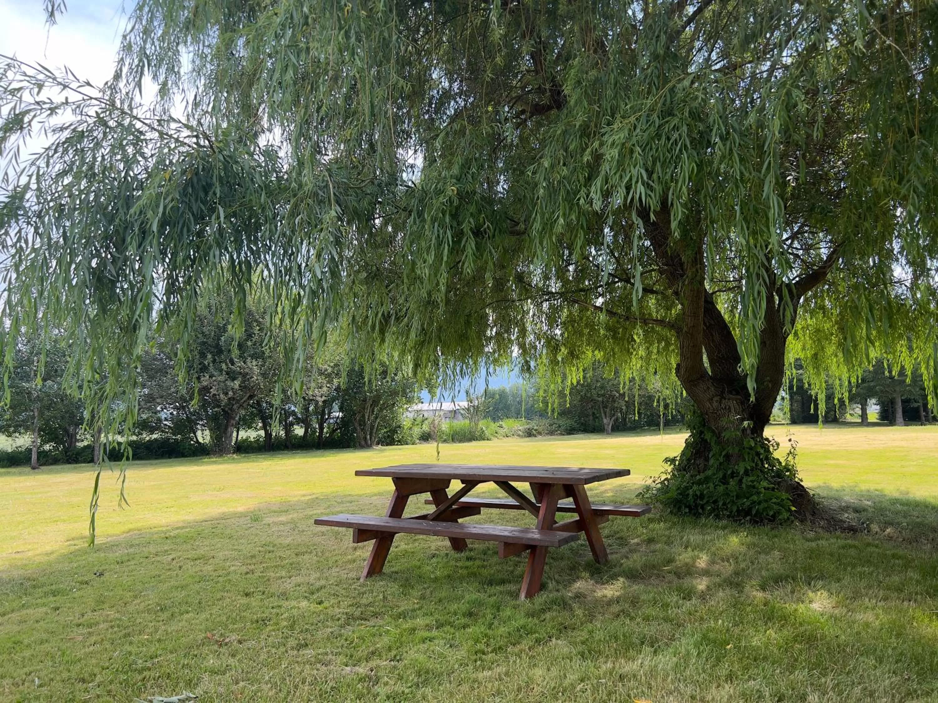 Garden in Monashee Motel