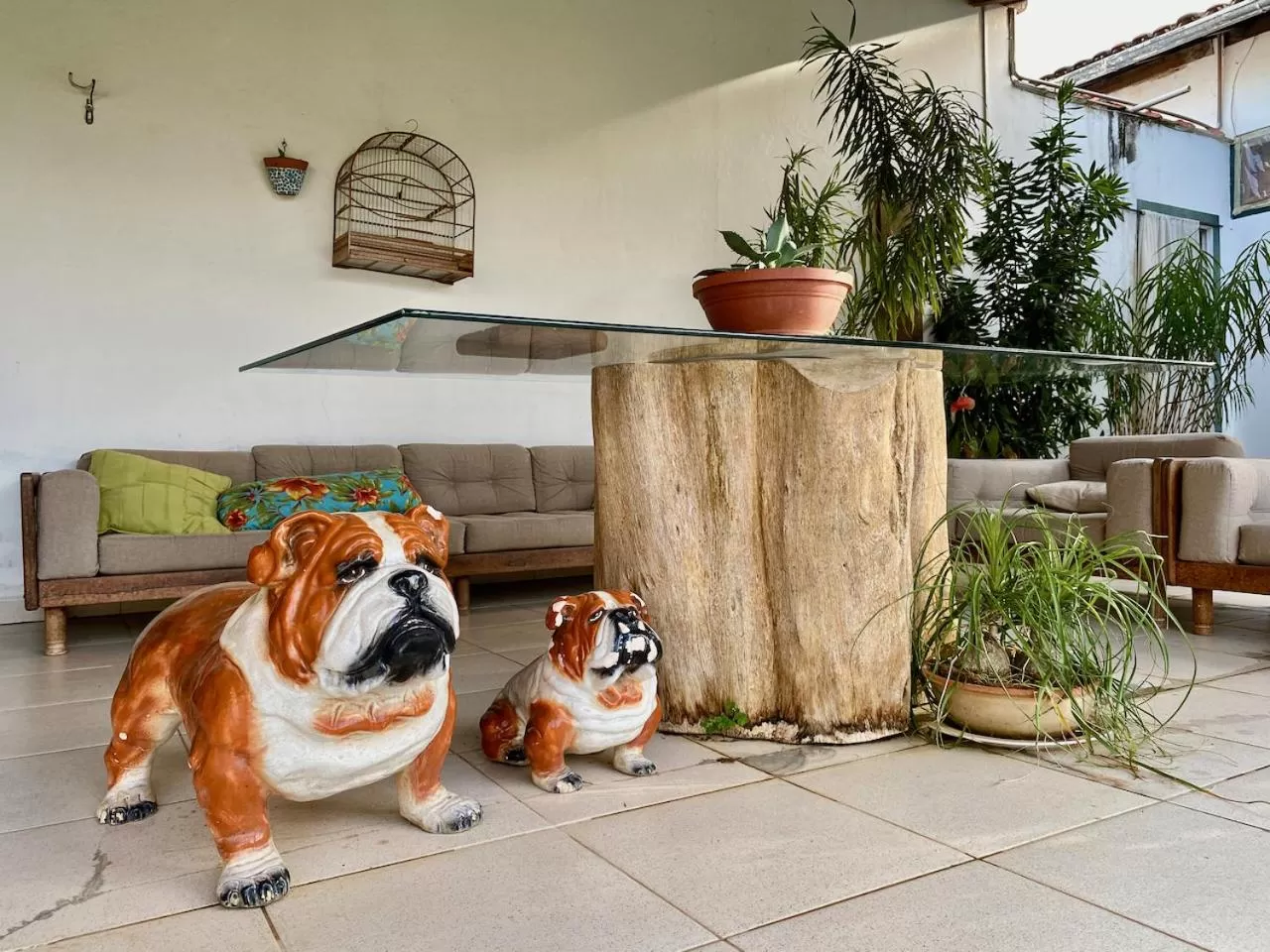 Pets in Pousada Nossa Terra