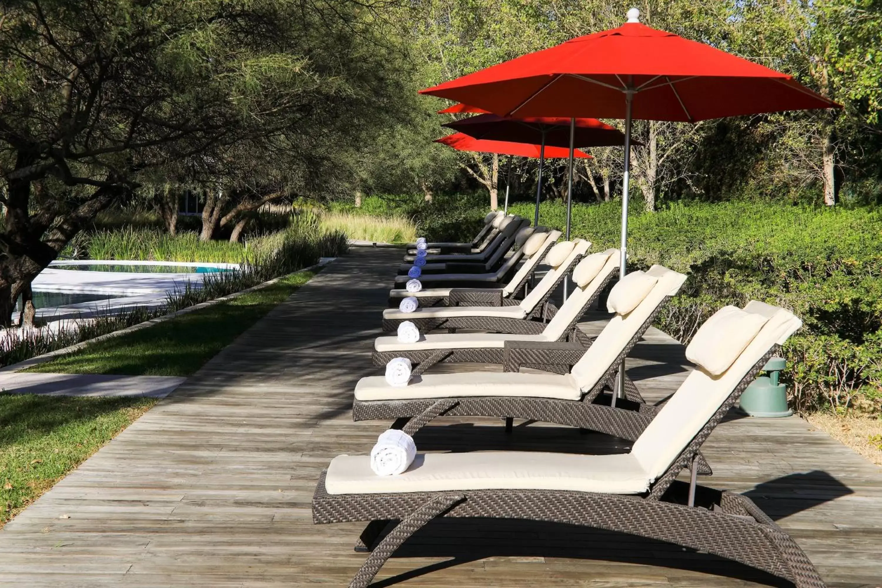 Swimming Pool in Aguascalientes Marriott Hotel