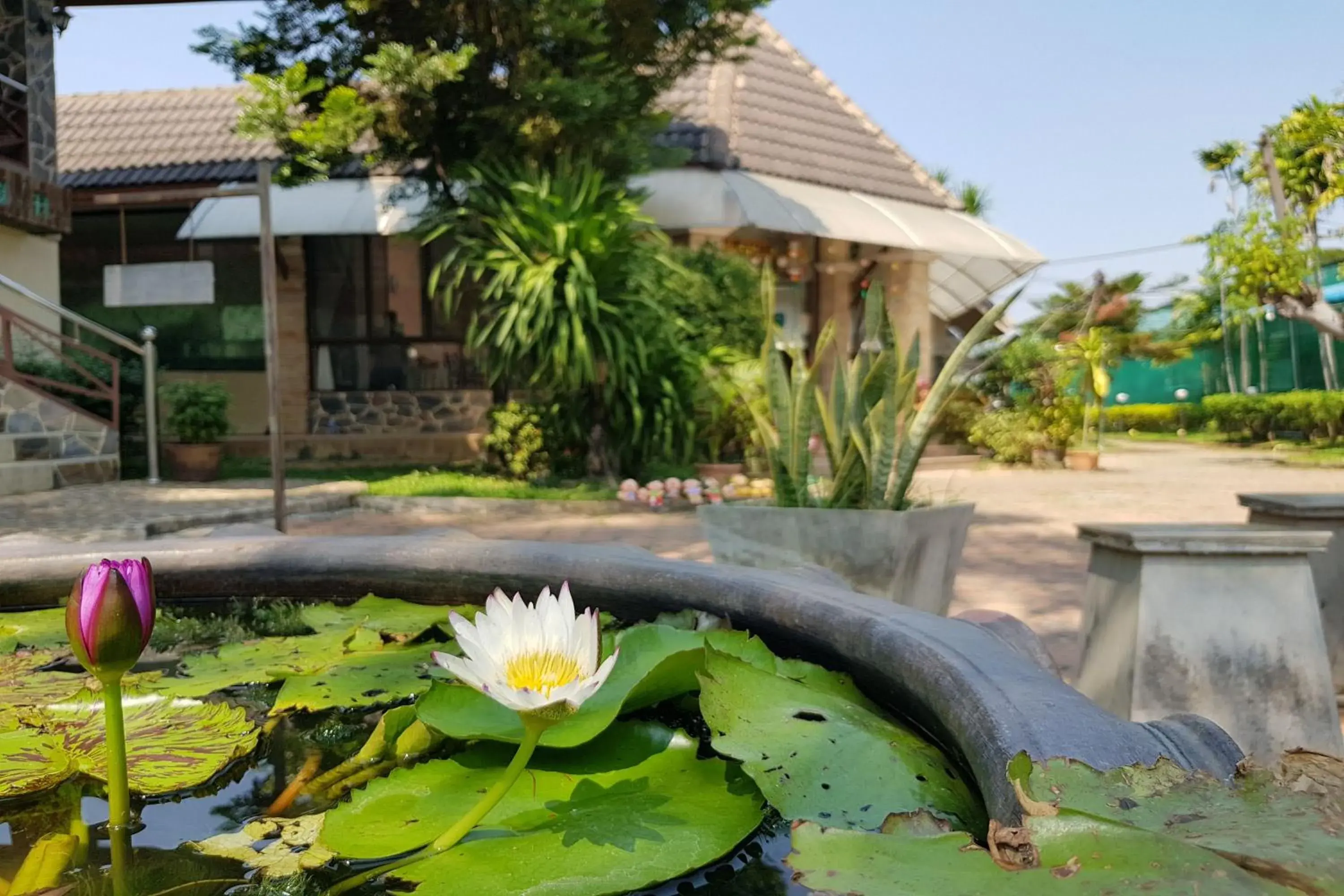 Garden in TaLeKaew Resort SHA