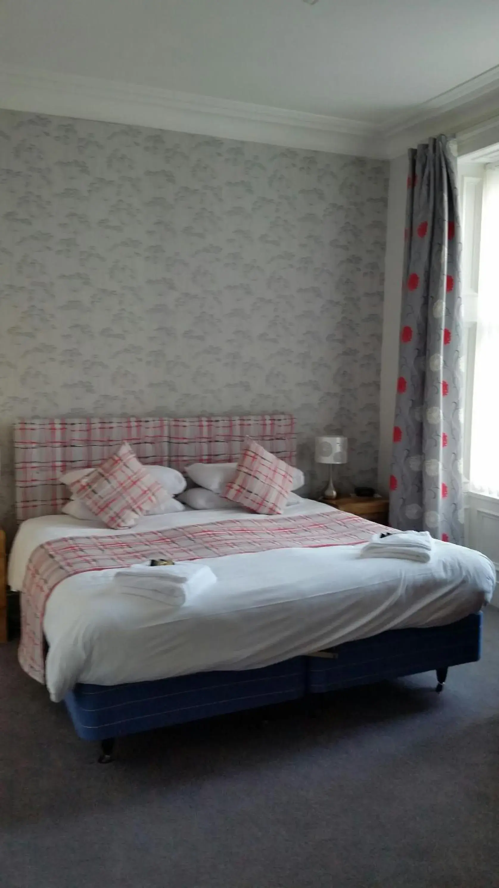 Double Room - single occupancy in Craignelder Hotel