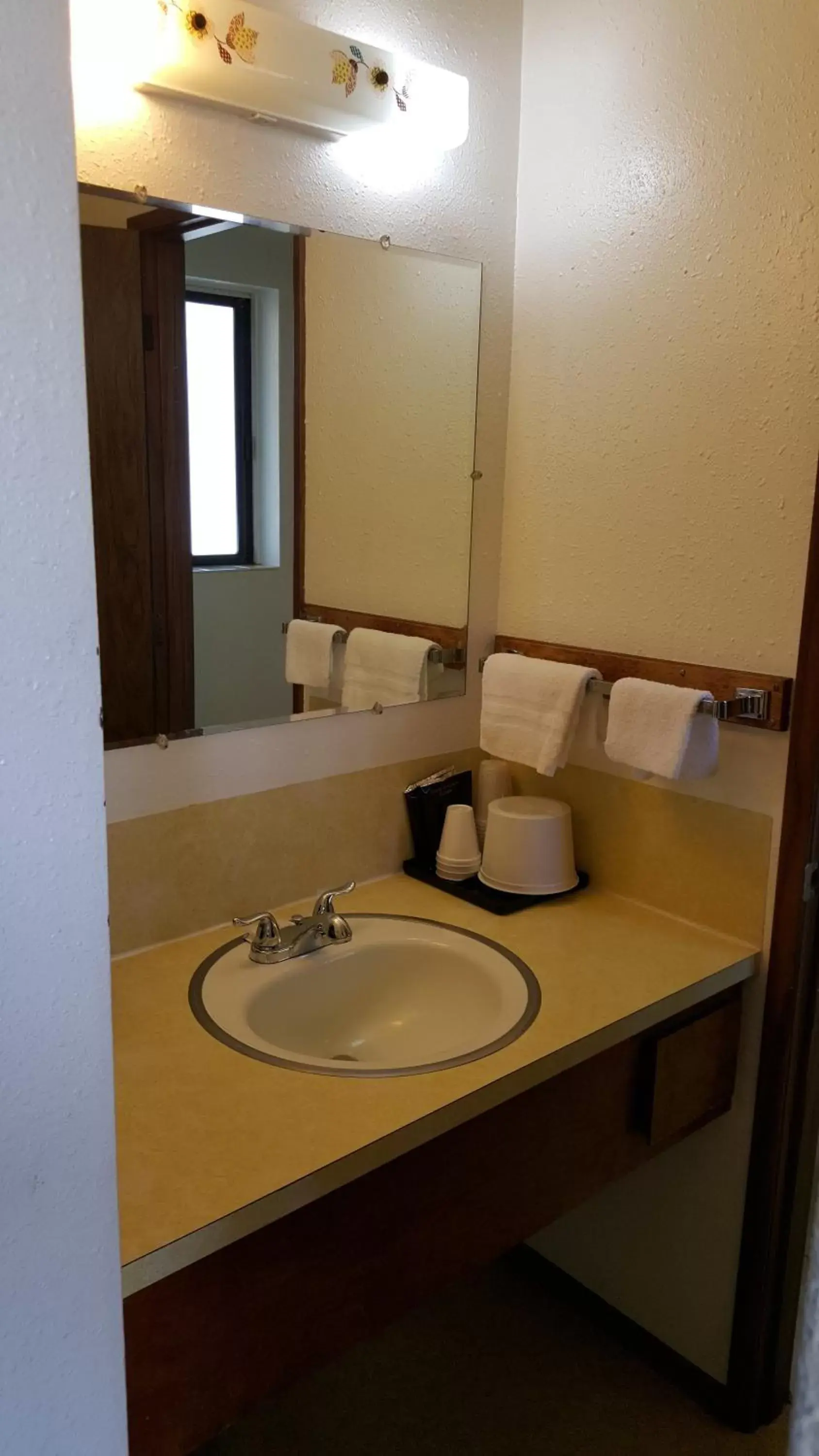 Bathroom in Safari Inn Motel