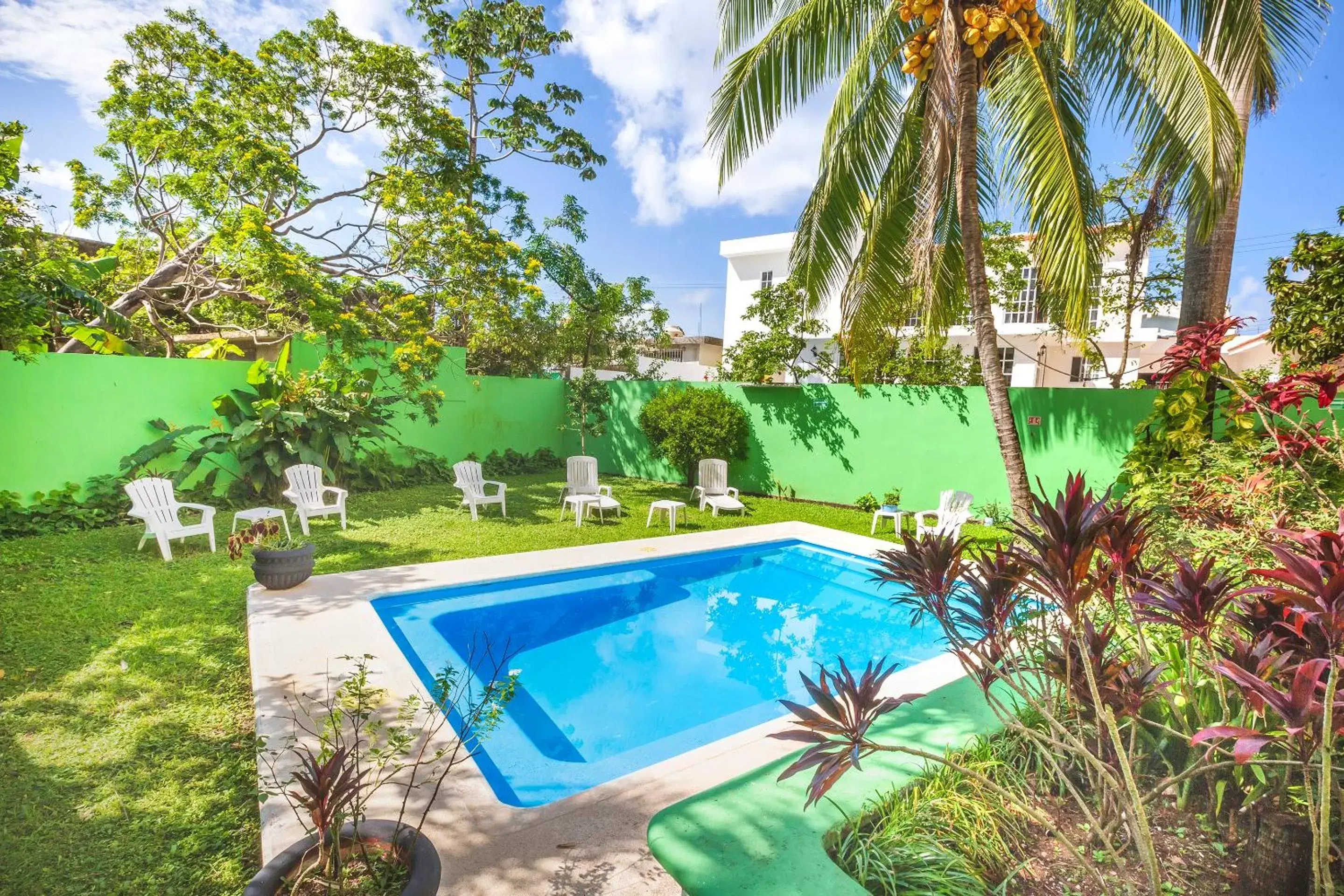 Garden, Swimming Pool in Hotel Kiin Cozumel
