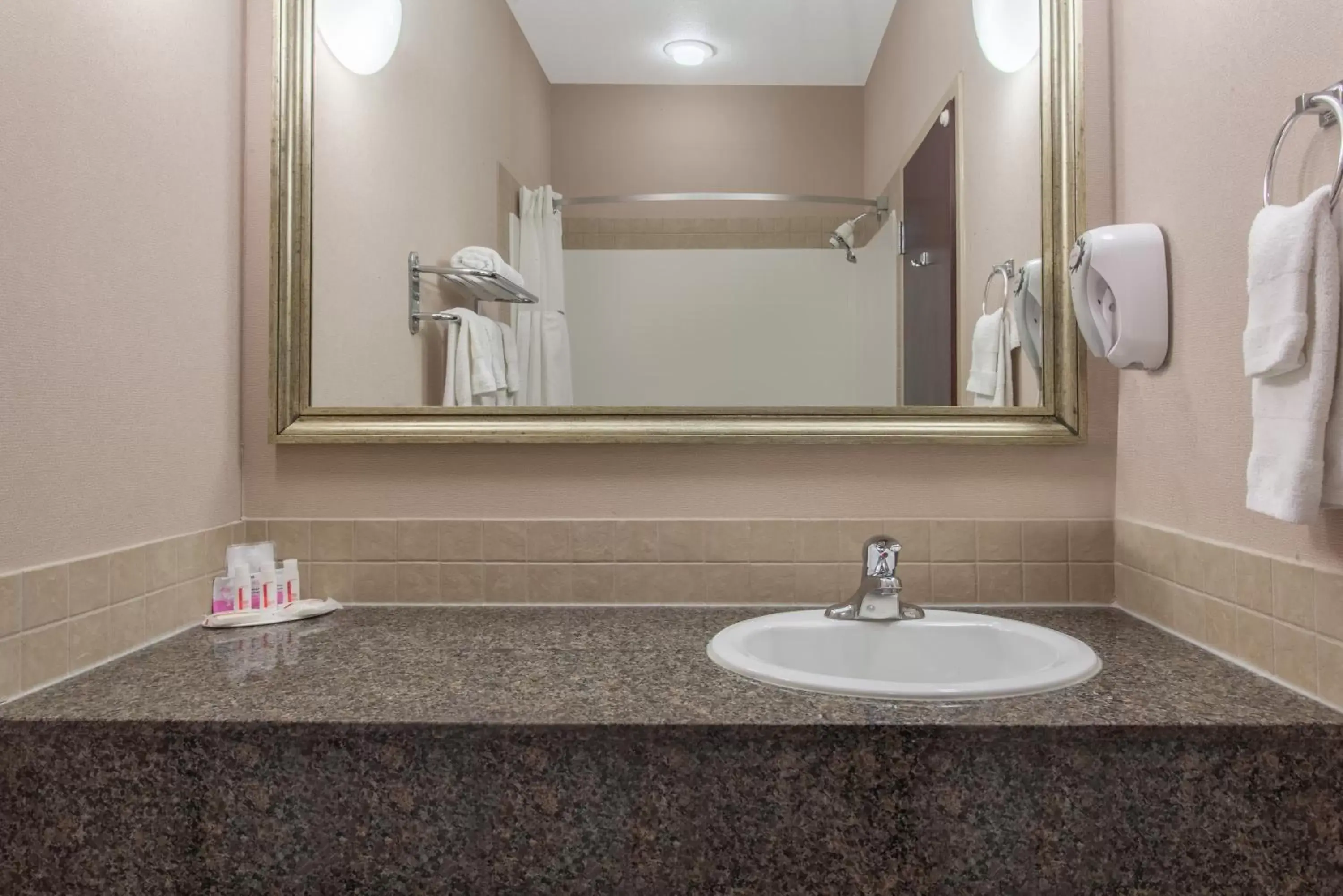 Bathroom in Ramada by Wyndham Brooks