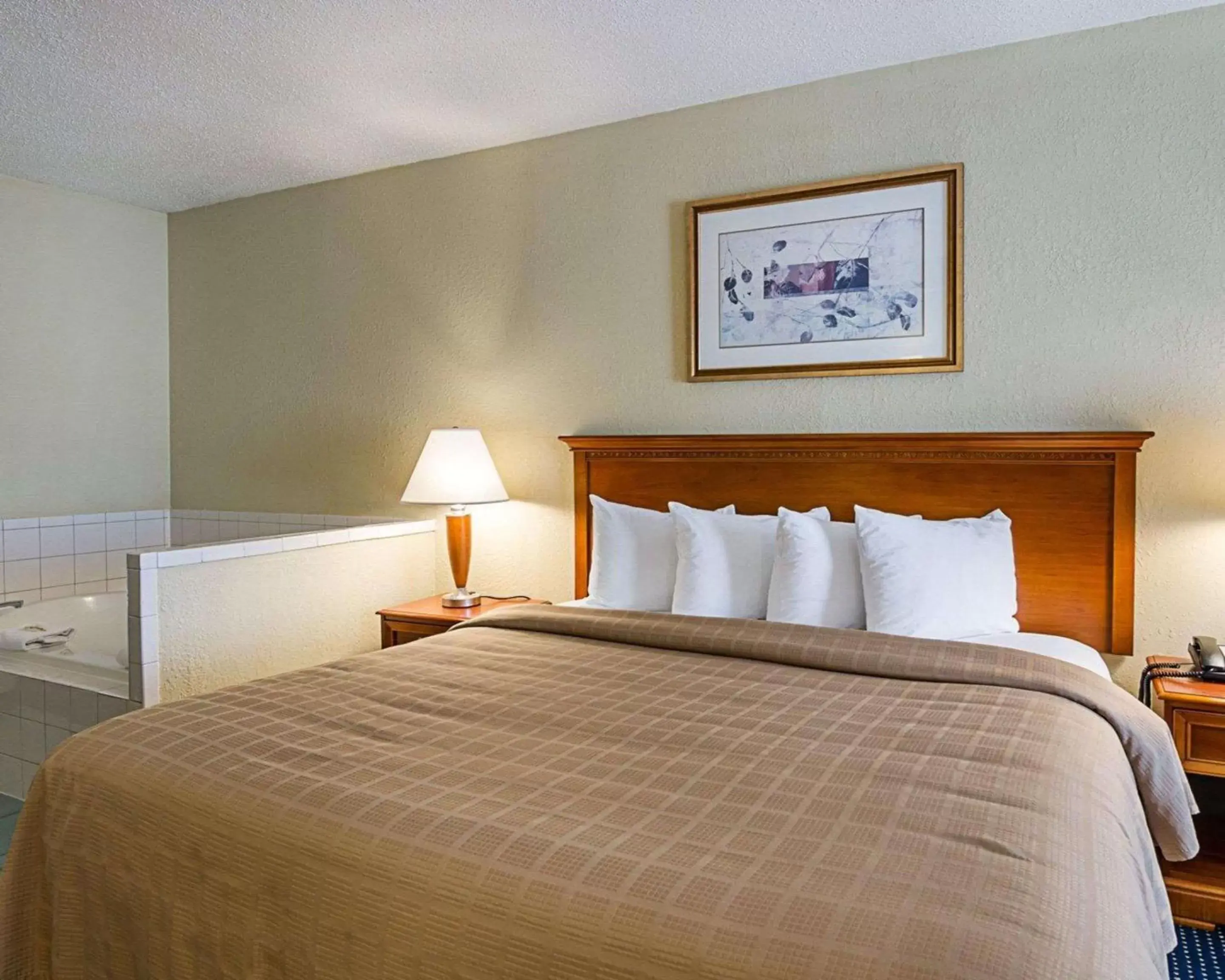 Photo of the whole room, Bed in Quality Inn Troutville - Roanoke North