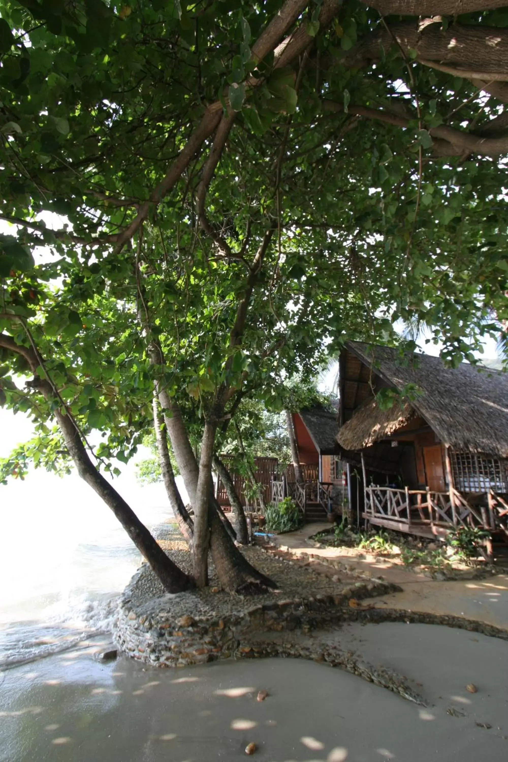 On site in Banpu Koh Chang Resort