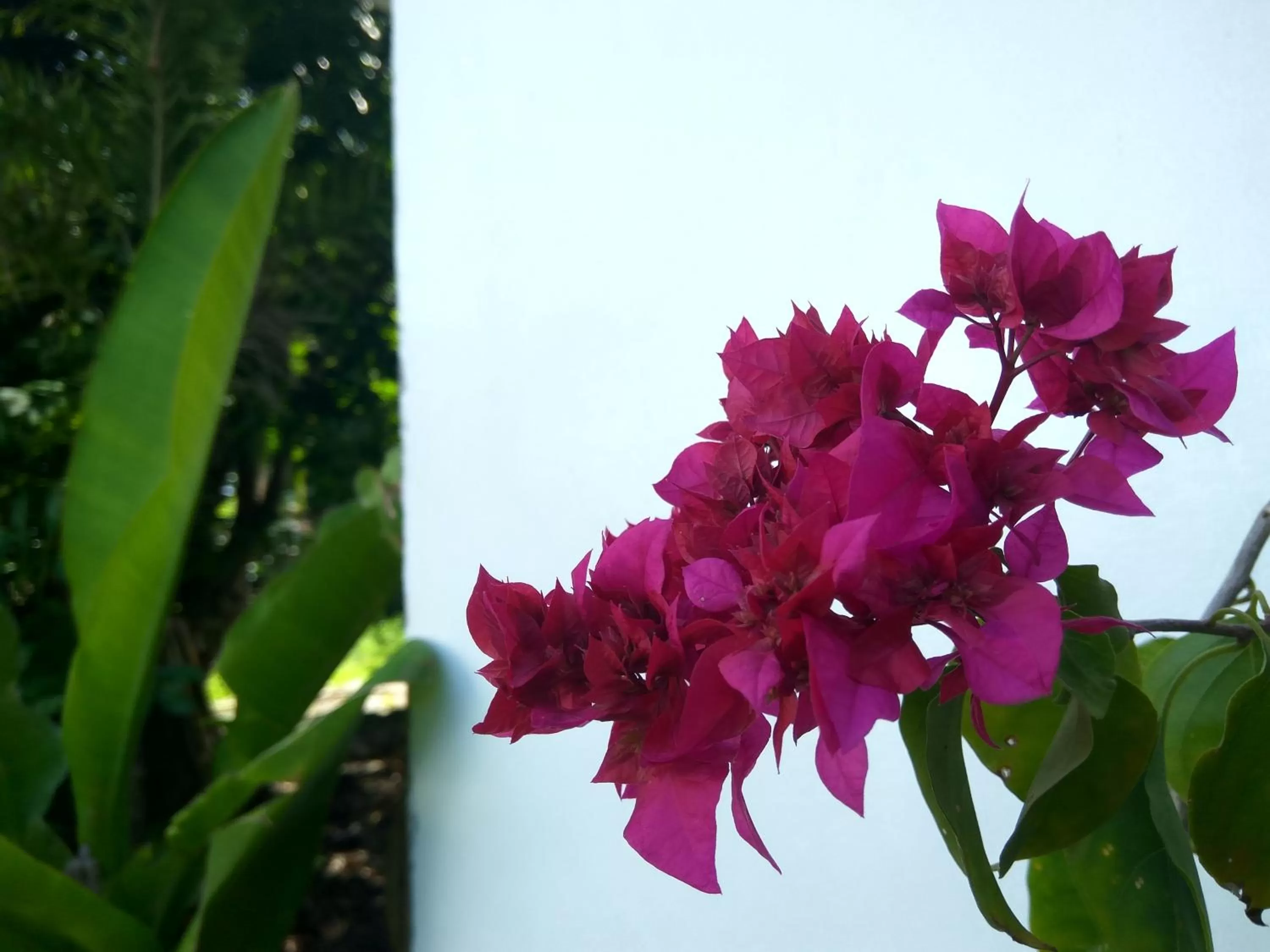 Garden in The Mandana Villa Gili Air