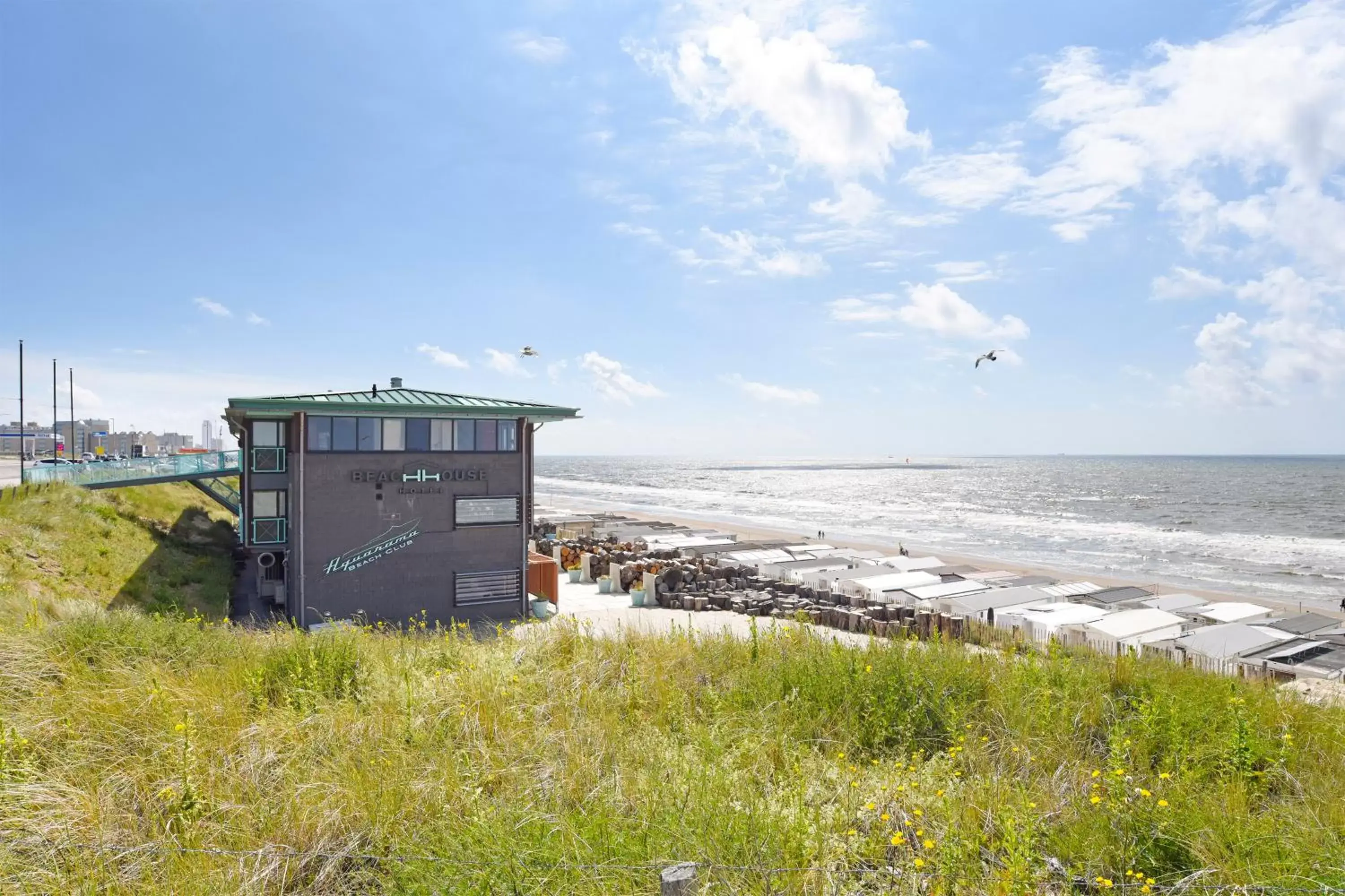 Natural landscape in Beachhouse Hotel