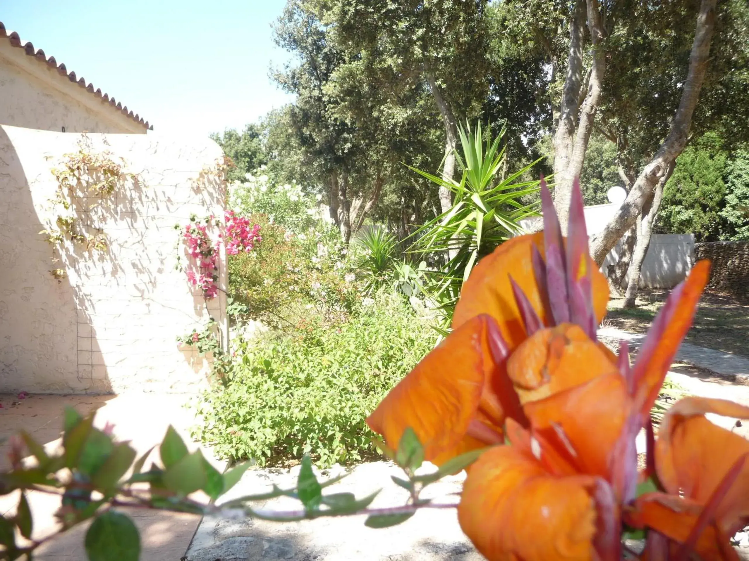 Garden in Hôtel Padolo