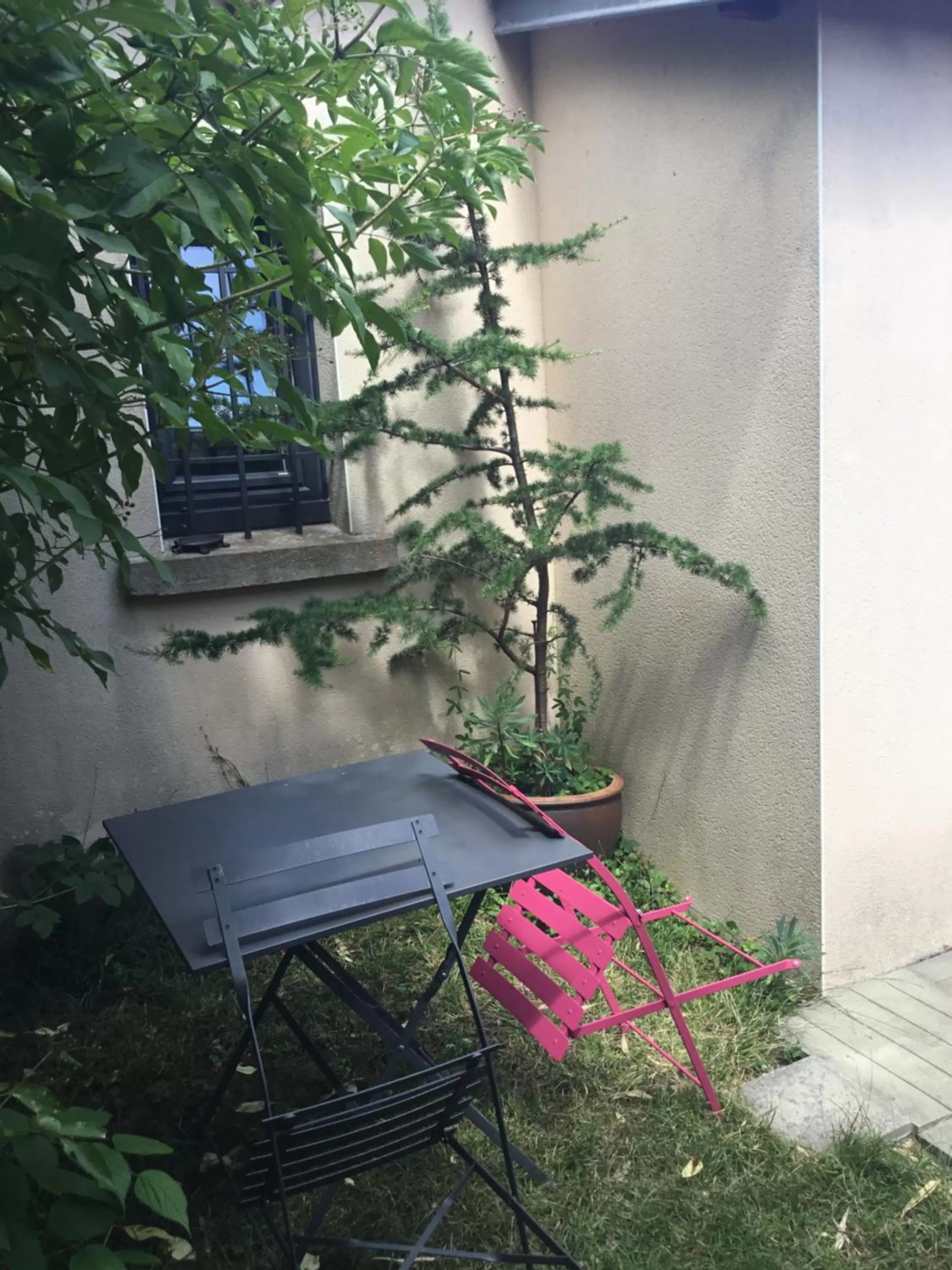 Garden view in Maisonnette Nantes