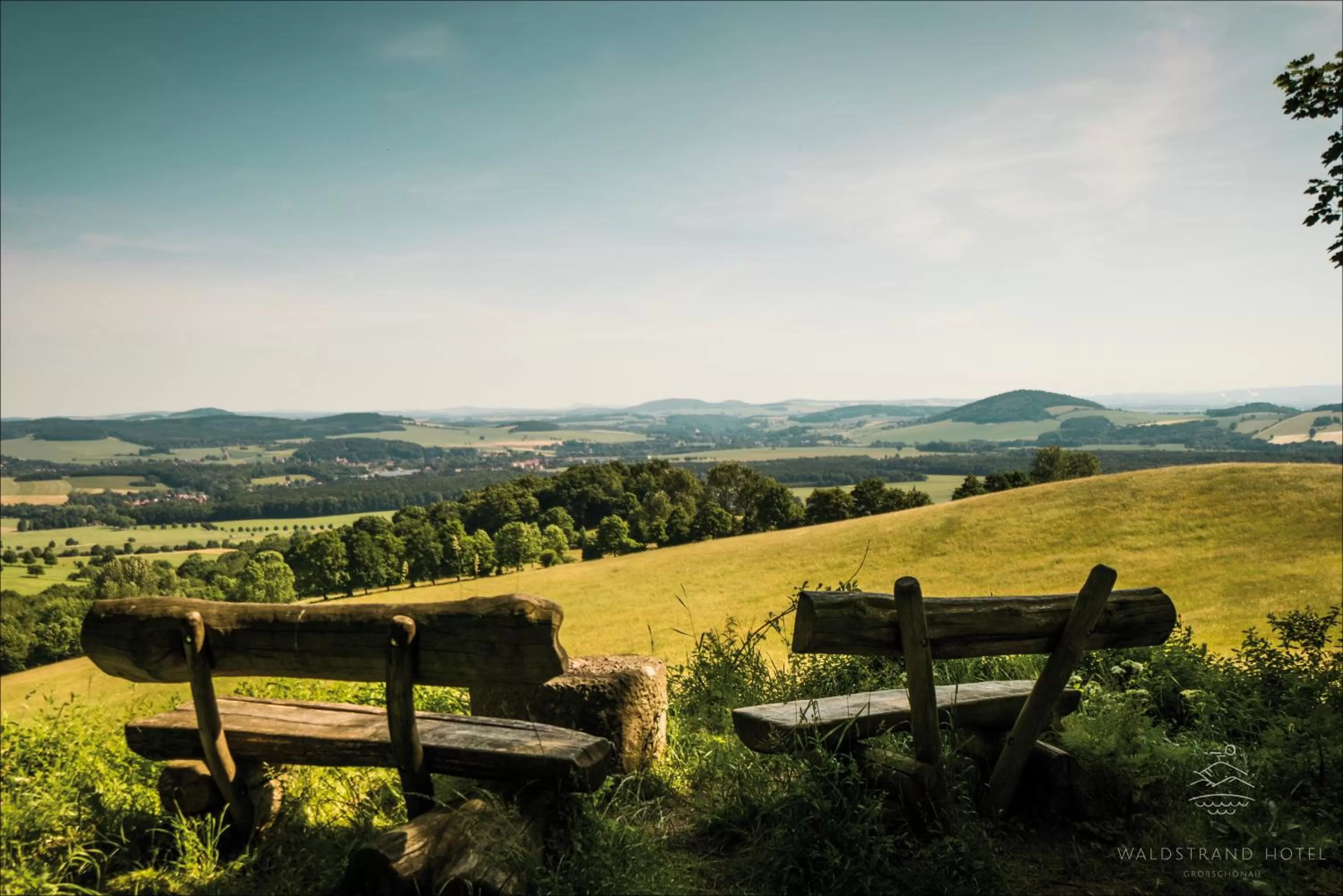 Natural landscape in Waldstrand-Hotel Großschönau