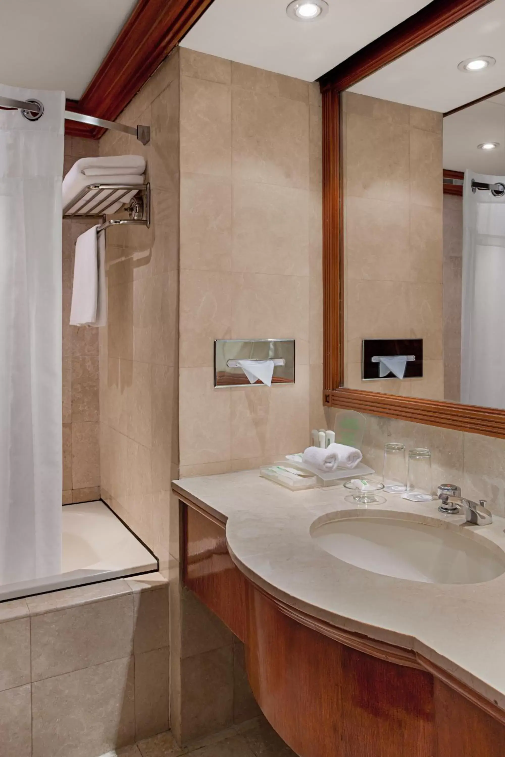 Shower, Bathroom in Holiday Inn Manila Galleria, an IHG Hotel