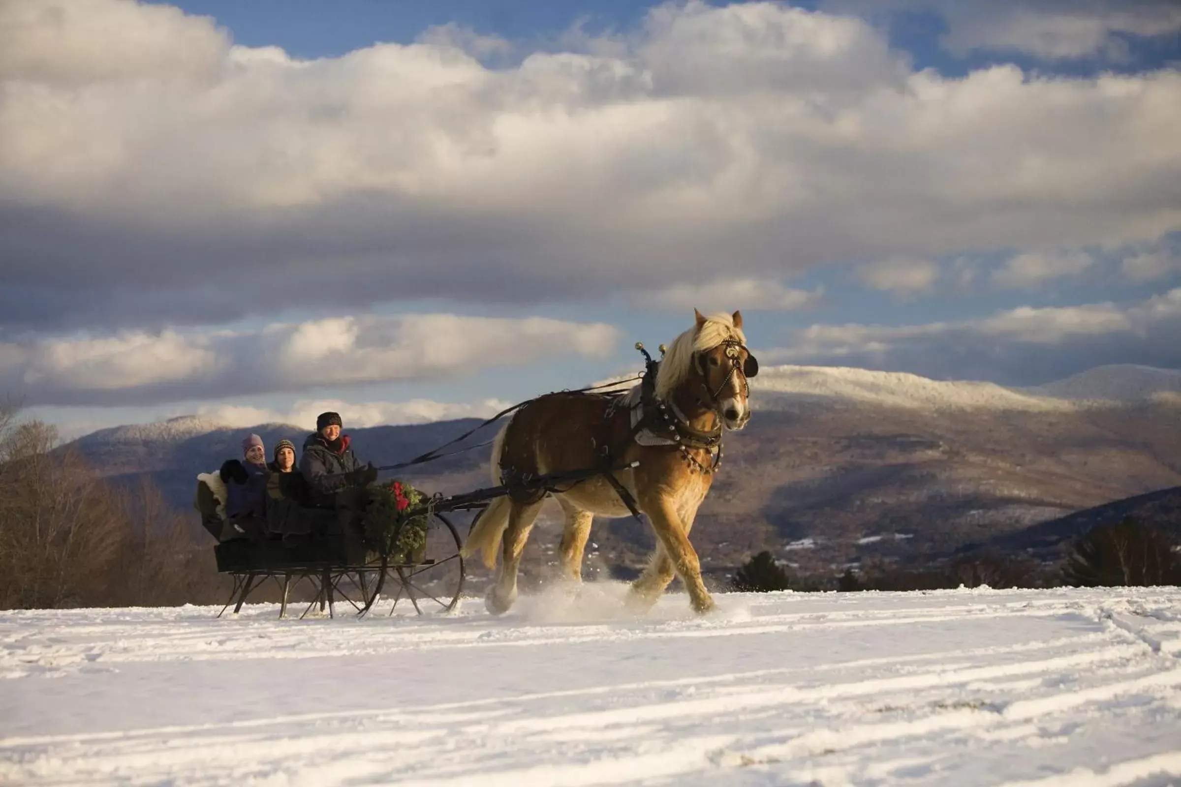 Activities, Horseback Riding in Trapp Family Lodge