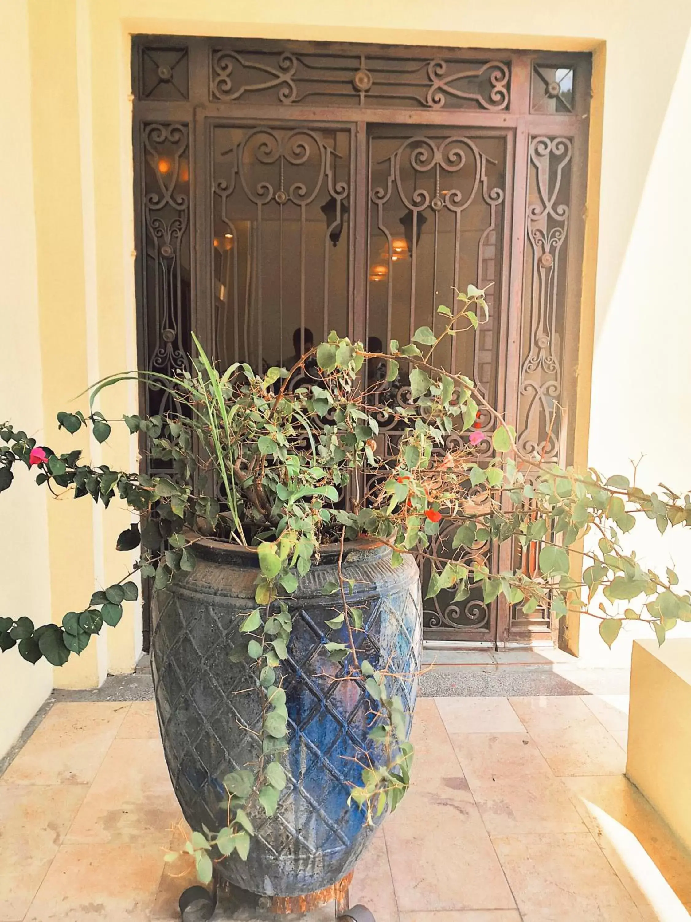 Facade/entrance in Hotel Mirador Plaza