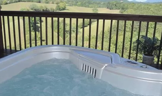 Swimming Pool in Berry Springs Lodge