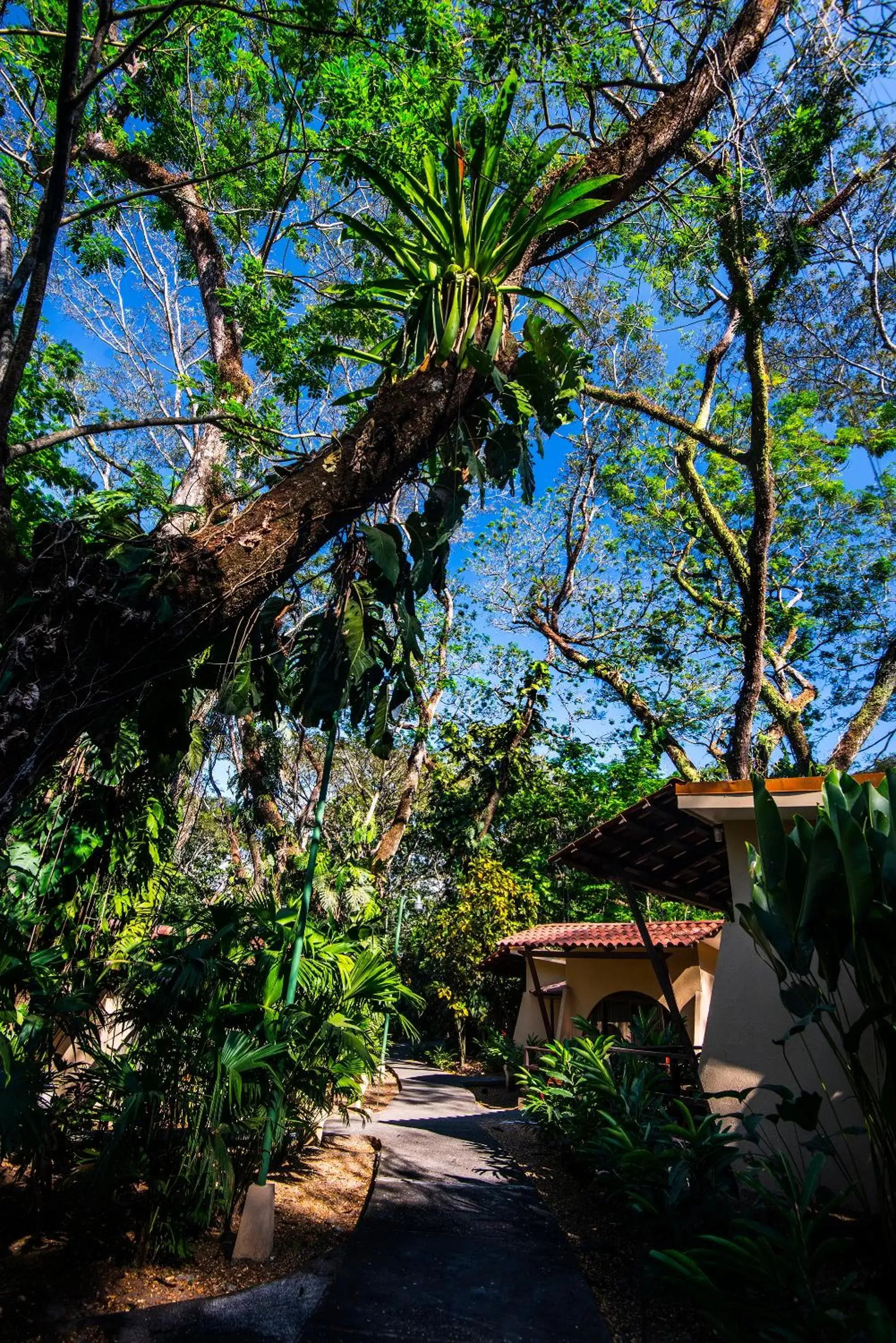 Other, Property Building in Hotel Punta Leona