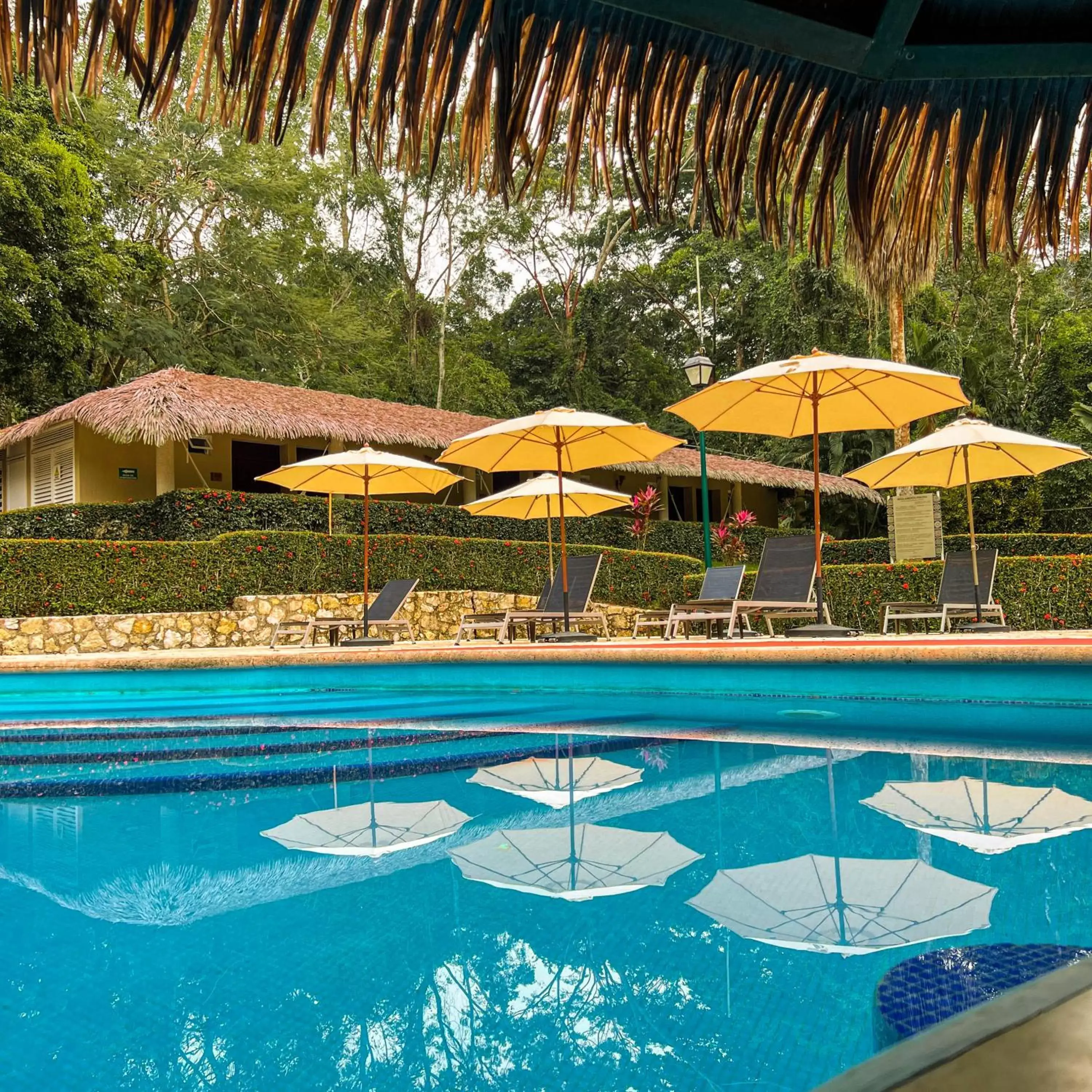 Swimming Pool in Hotel Villa Mercedes Palenque