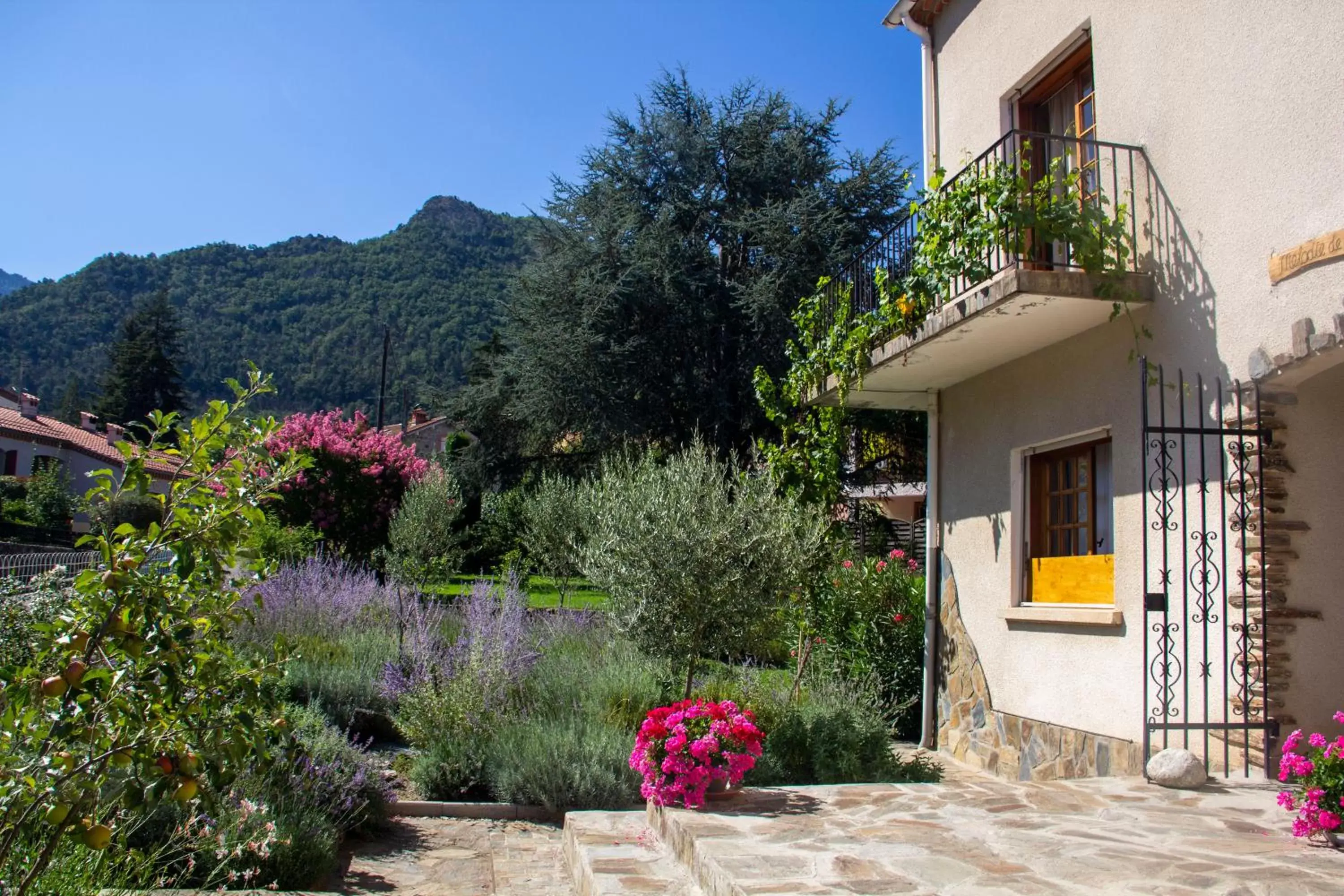 Property Building in La Perle des Montagnes - Bed and breakfast