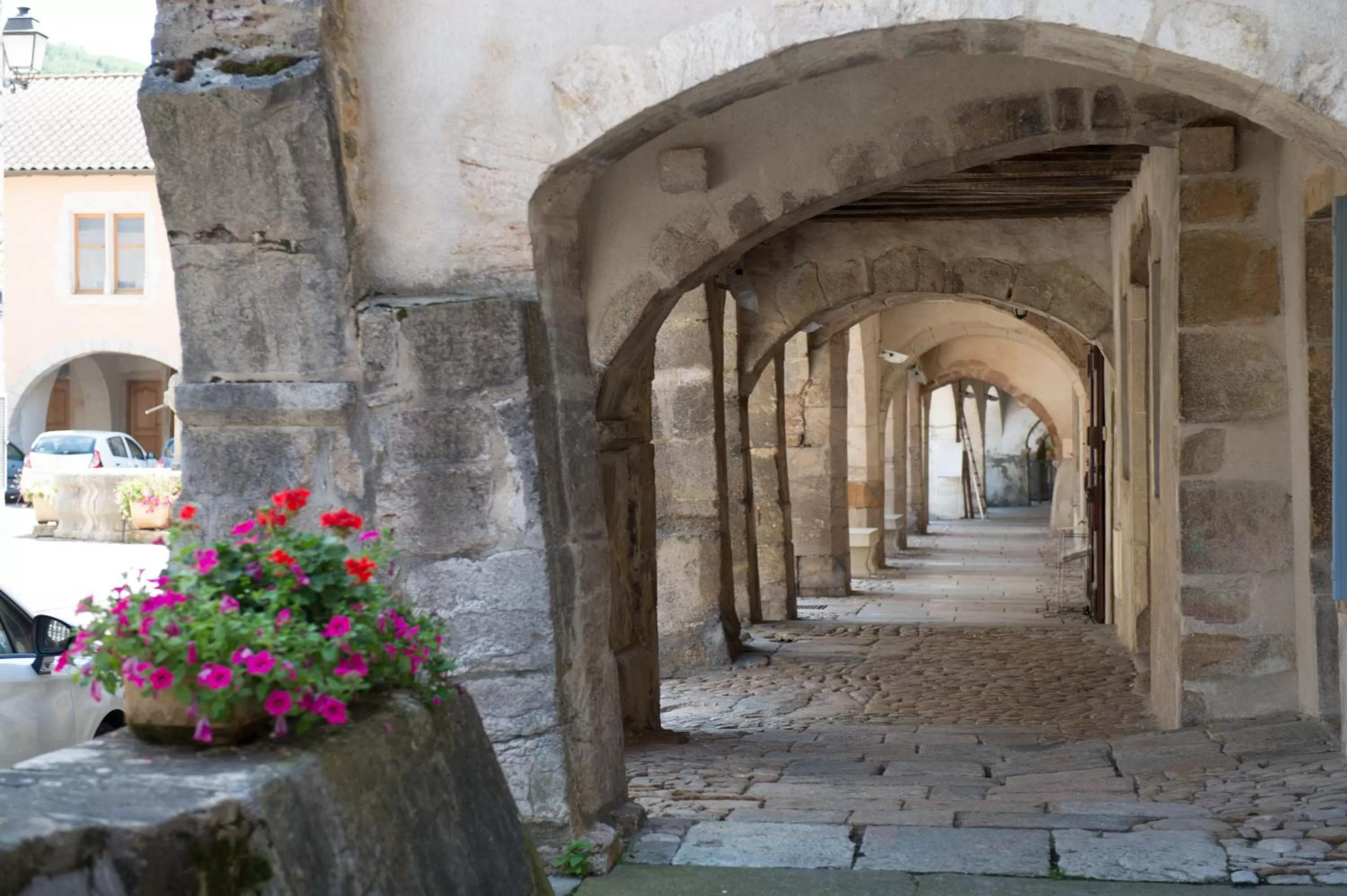Area and facilities in Logis Hôtel Vuillot