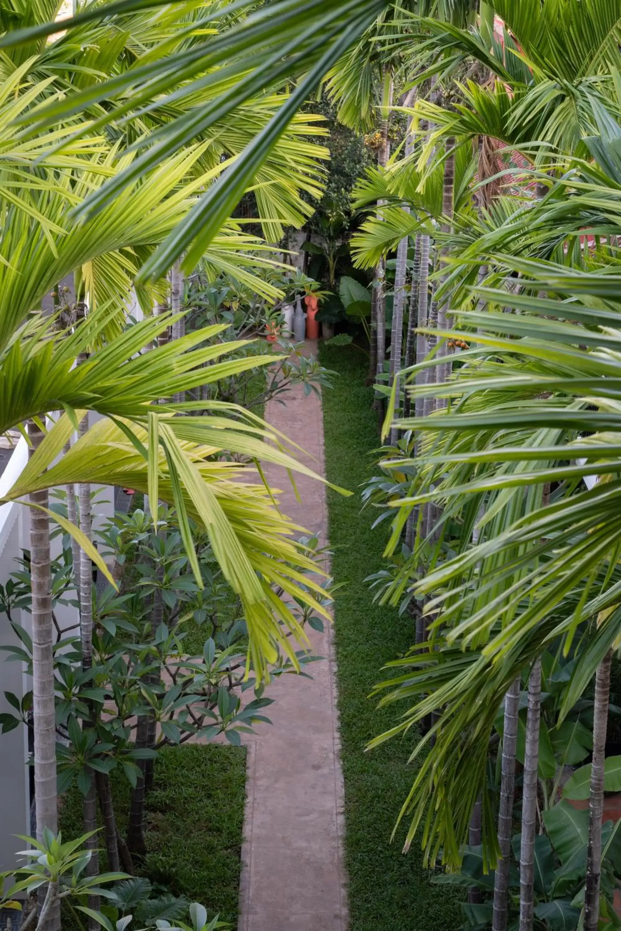 Garden in The Urban