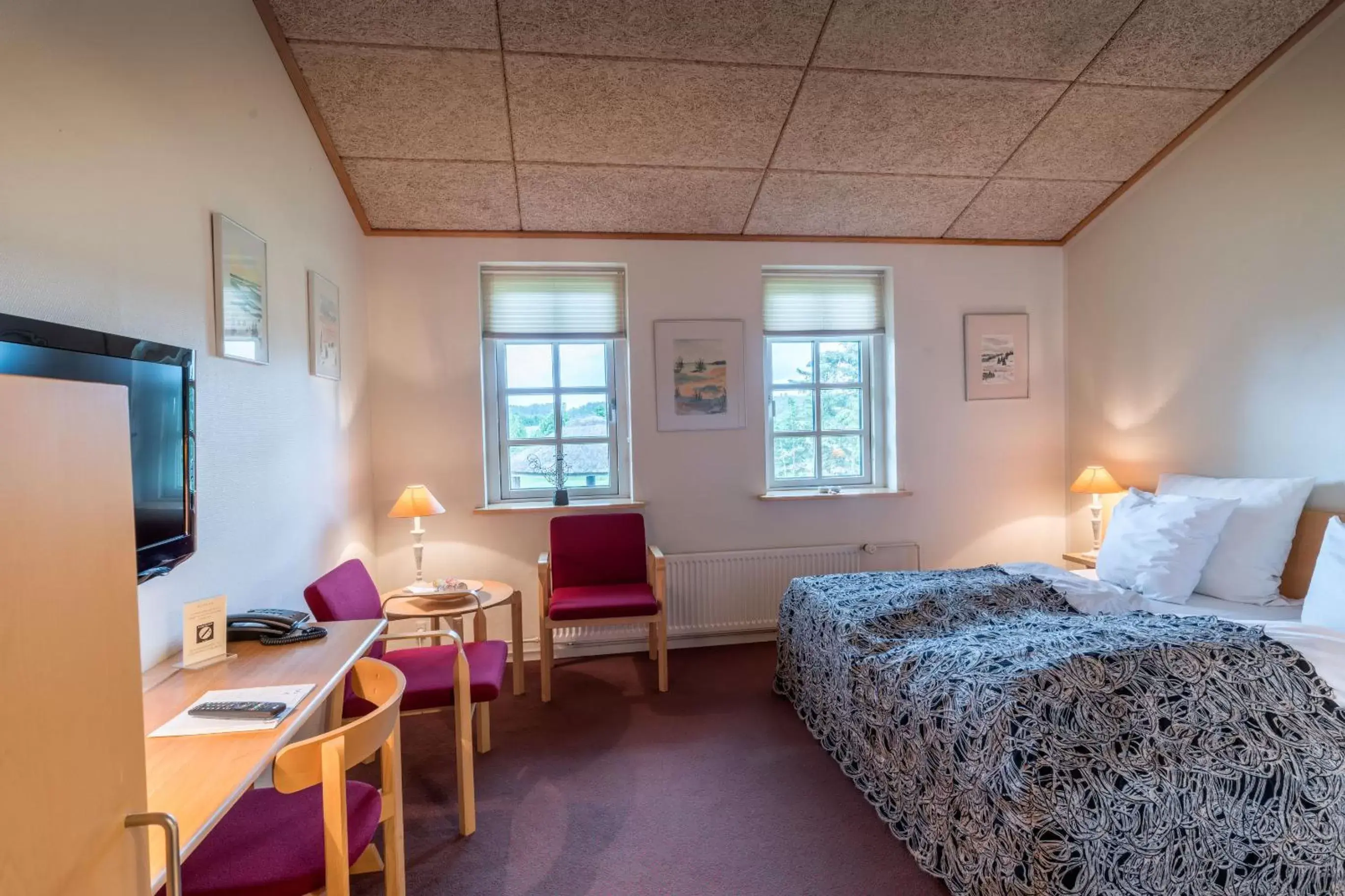 Double Room in Vilcon Hotel & Konferencegaard Double Room in Vilcon Hotel & Konferencegaard