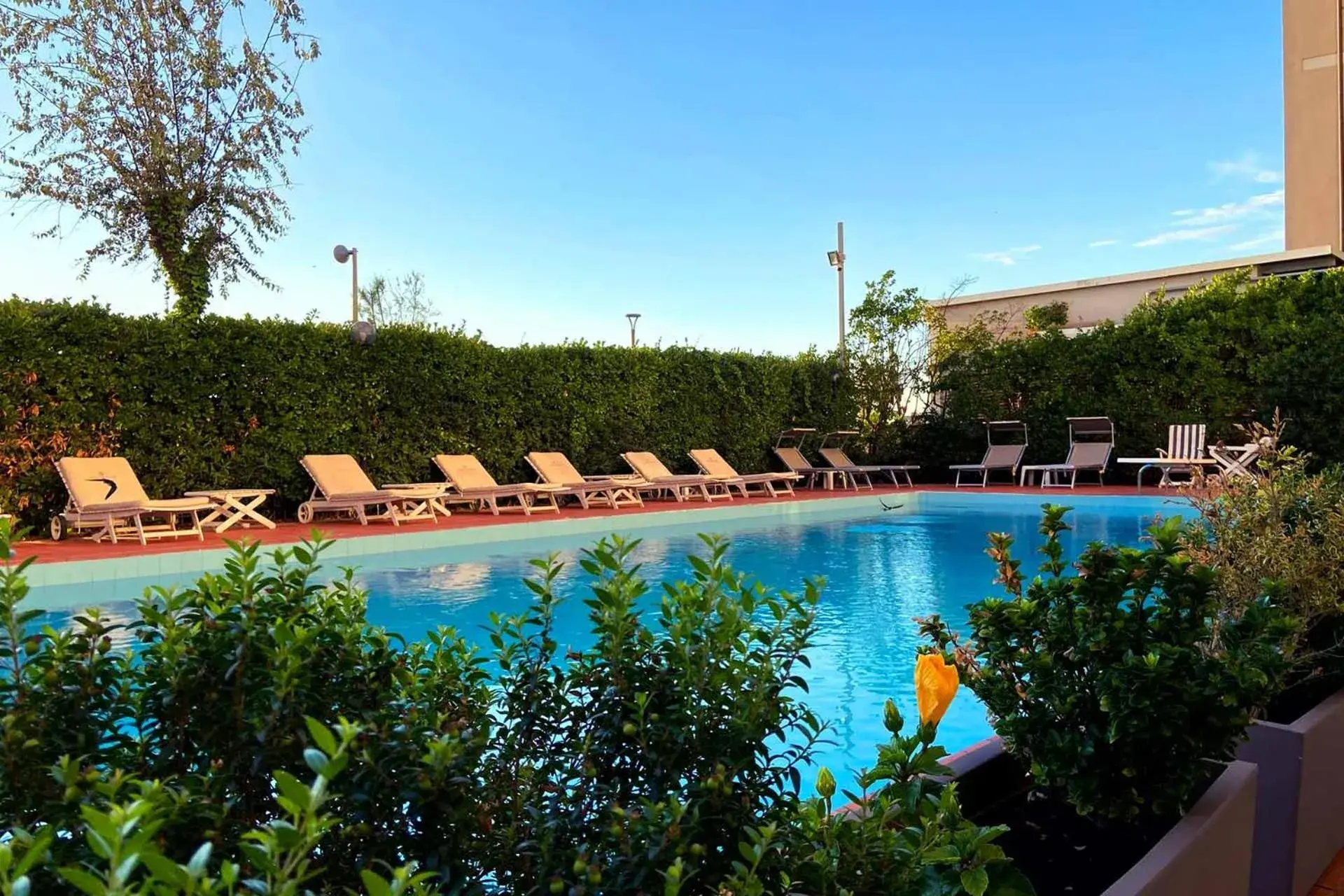 Swimming Pool in Hotel Granada